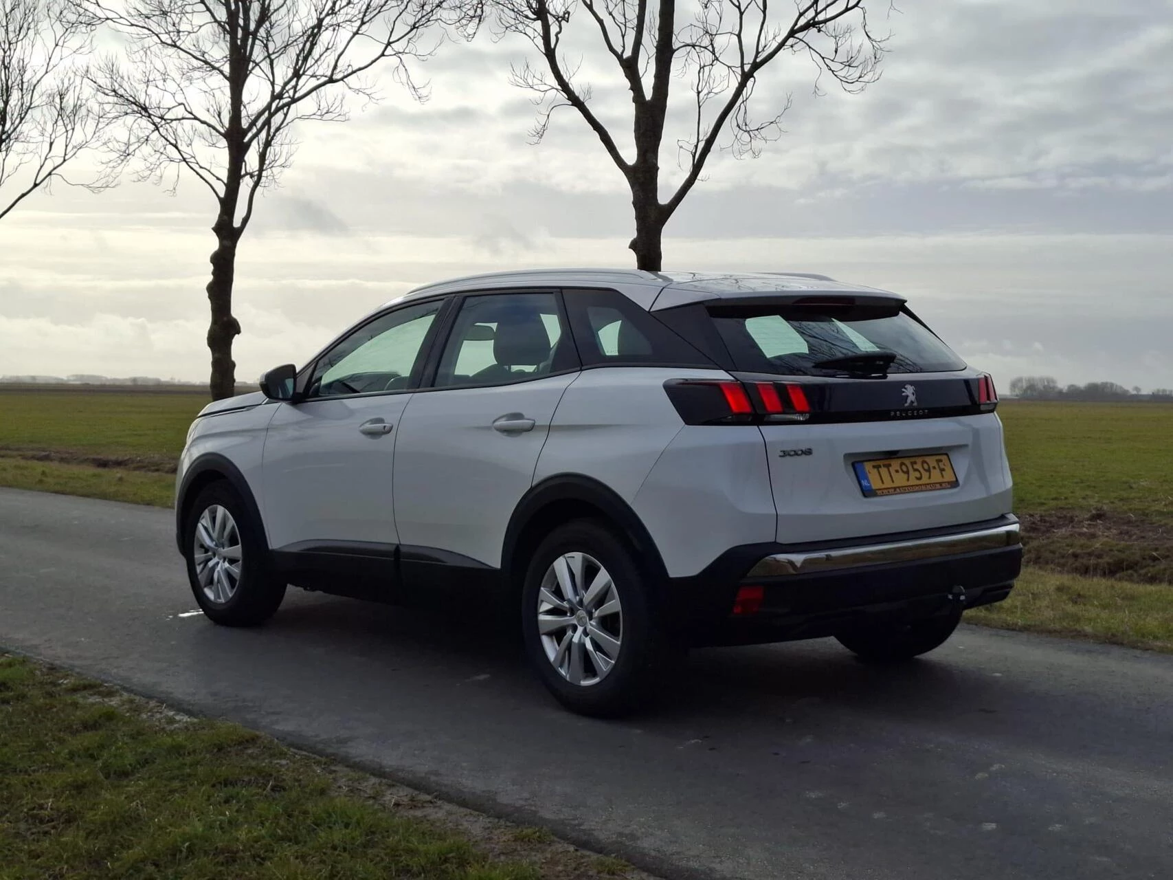 Hoofdafbeelding Peugeot 3008