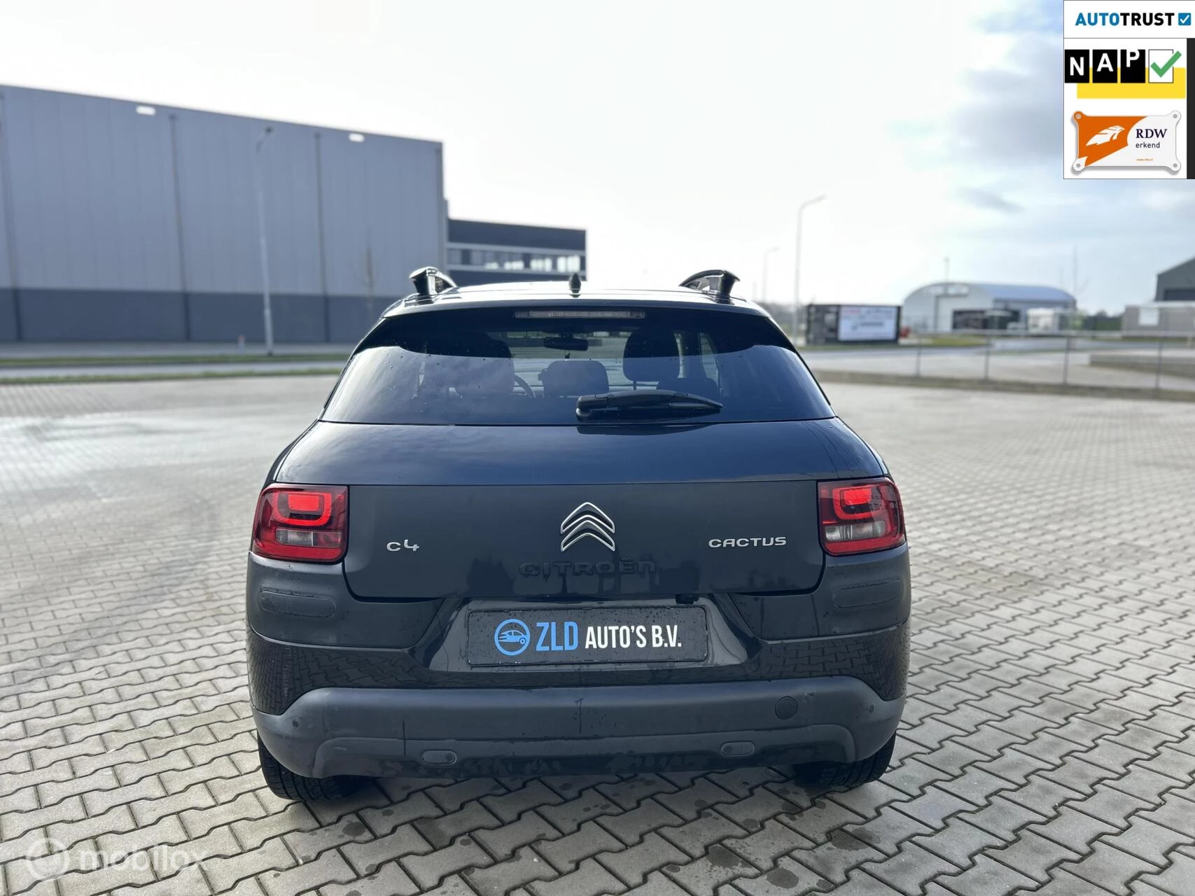 Hoofdafbeelding Citroën C4 Cactus