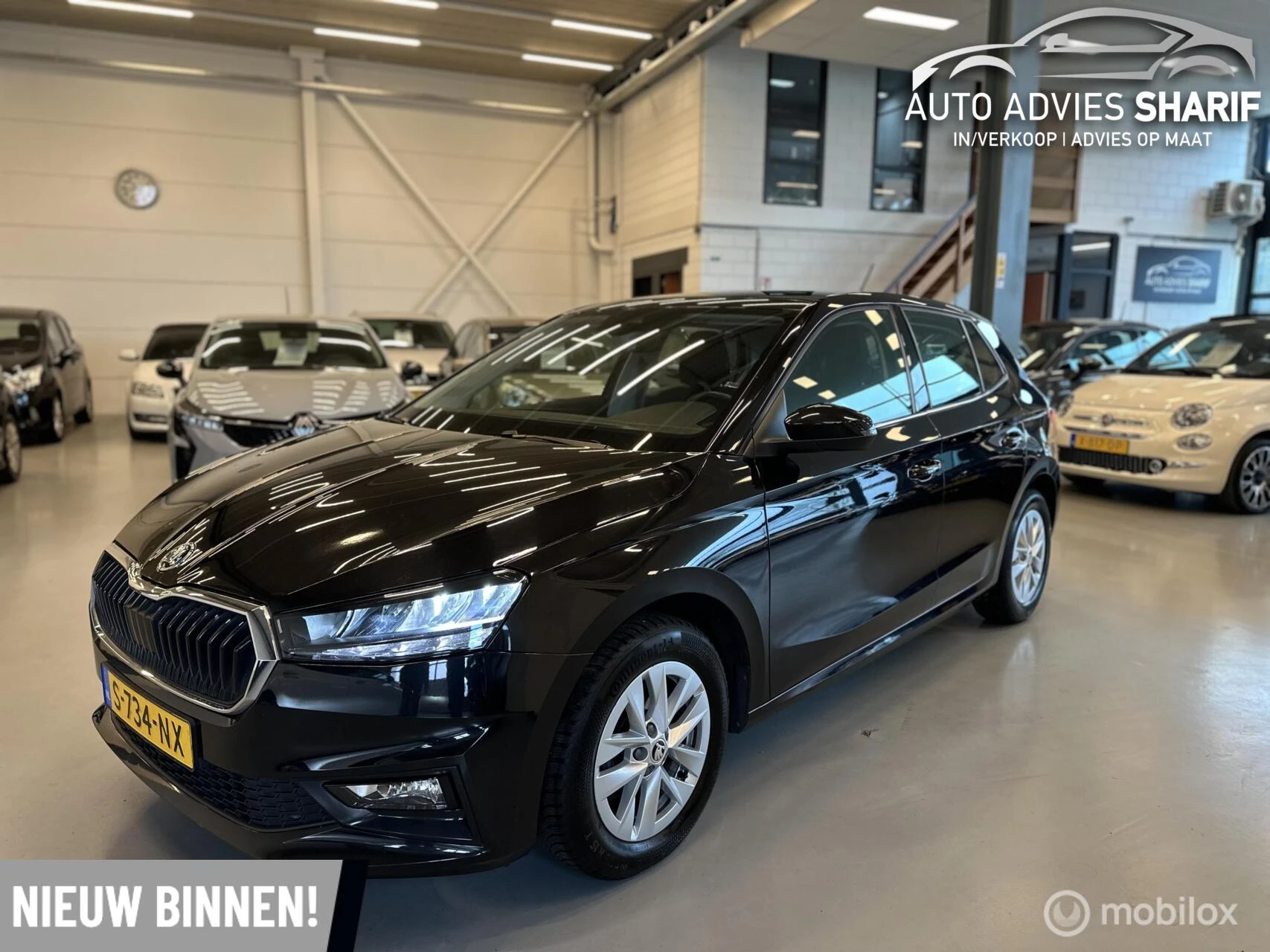 Hoofdafbeelding Škoda Fabia
