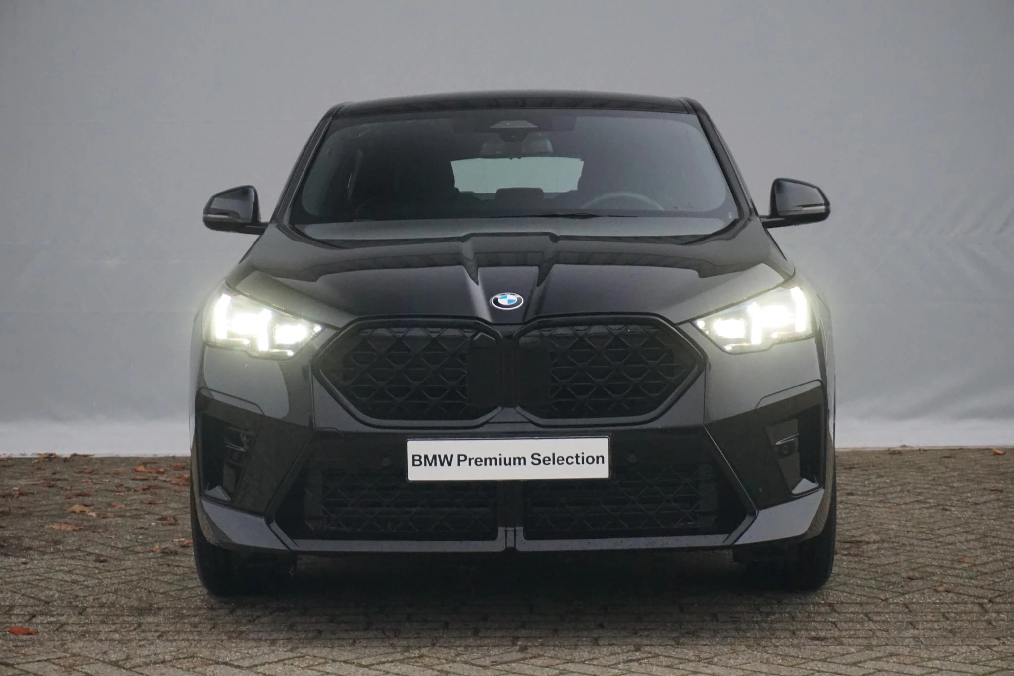 Hoofdafbeelding BMW X2