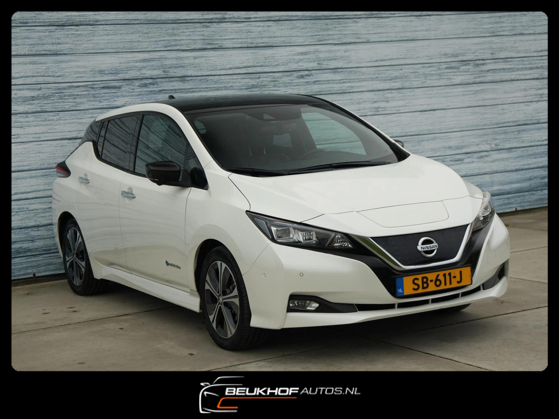 Hoofdafbeelding Nissan Leaf