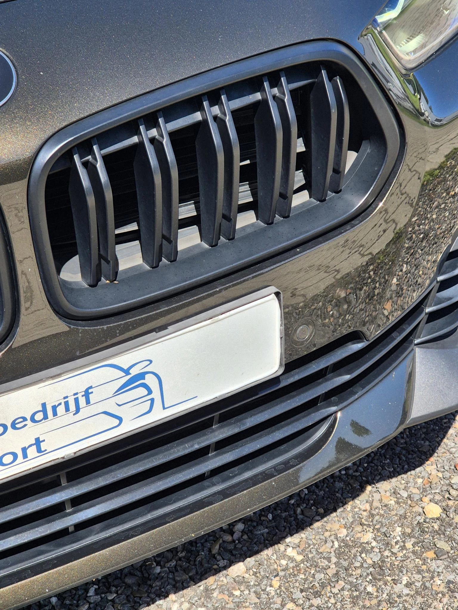 Hoofdafbeelding BMW X2