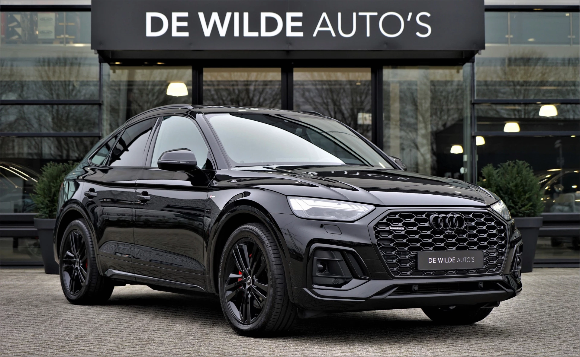 Hoofdafbeelding Audi Q5