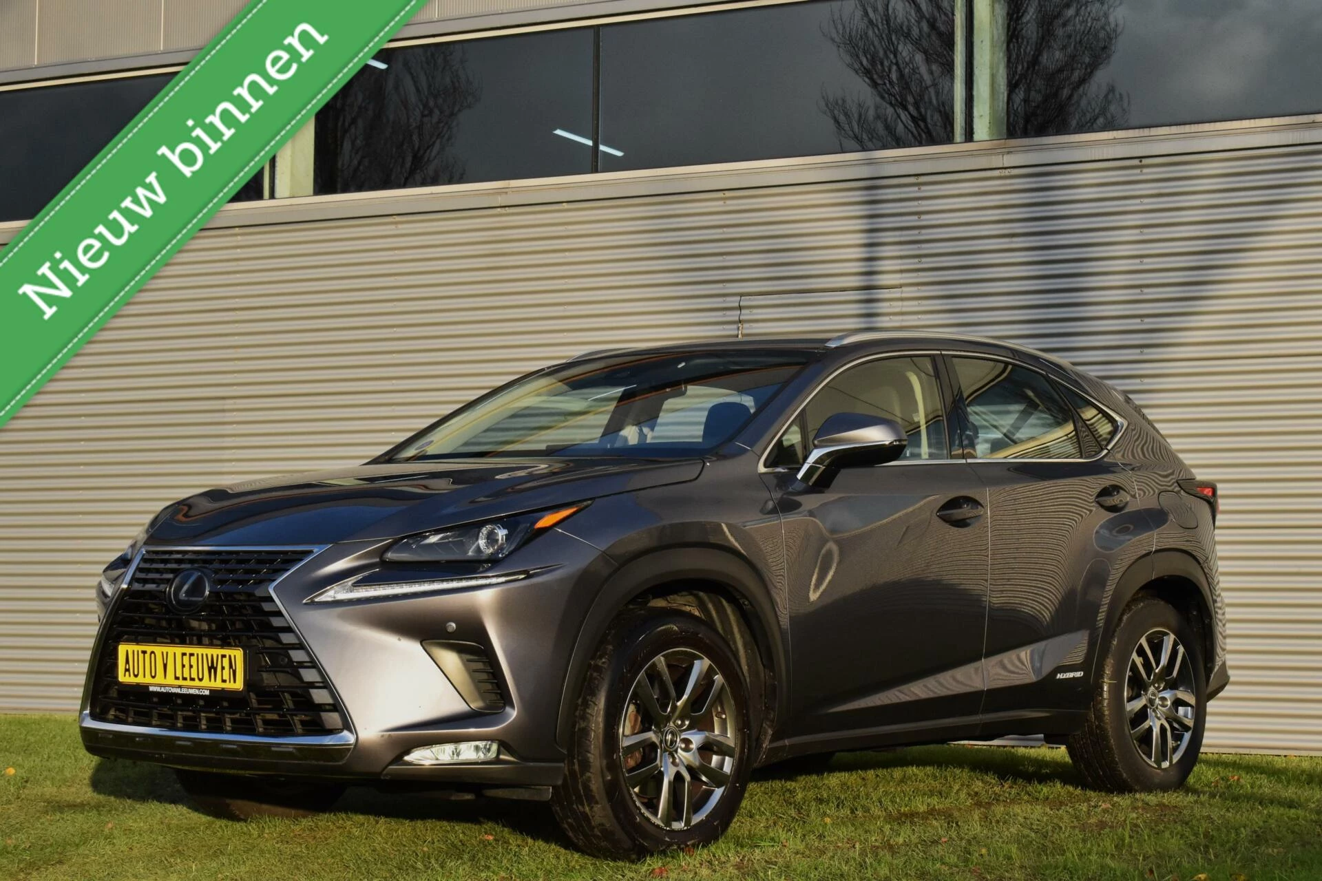 Hoofdafbeelding Lexus NX