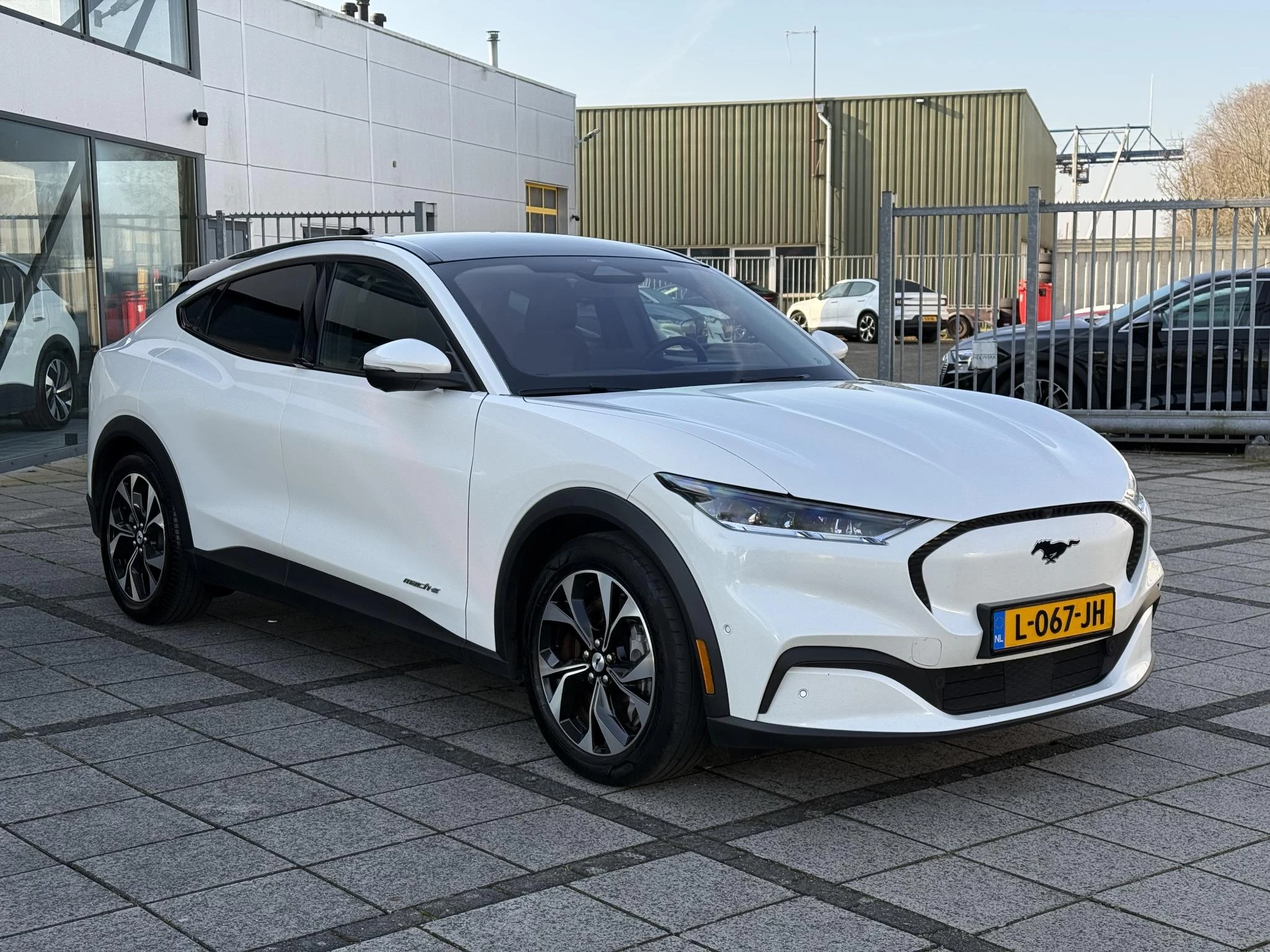 Hoofdafbeelding Ford Mustang Mach-E