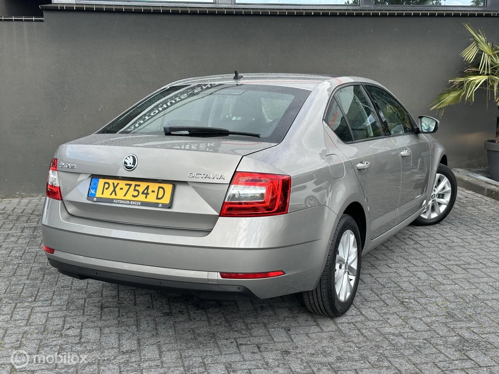 Hoofdafbeelding Škoda Octavia