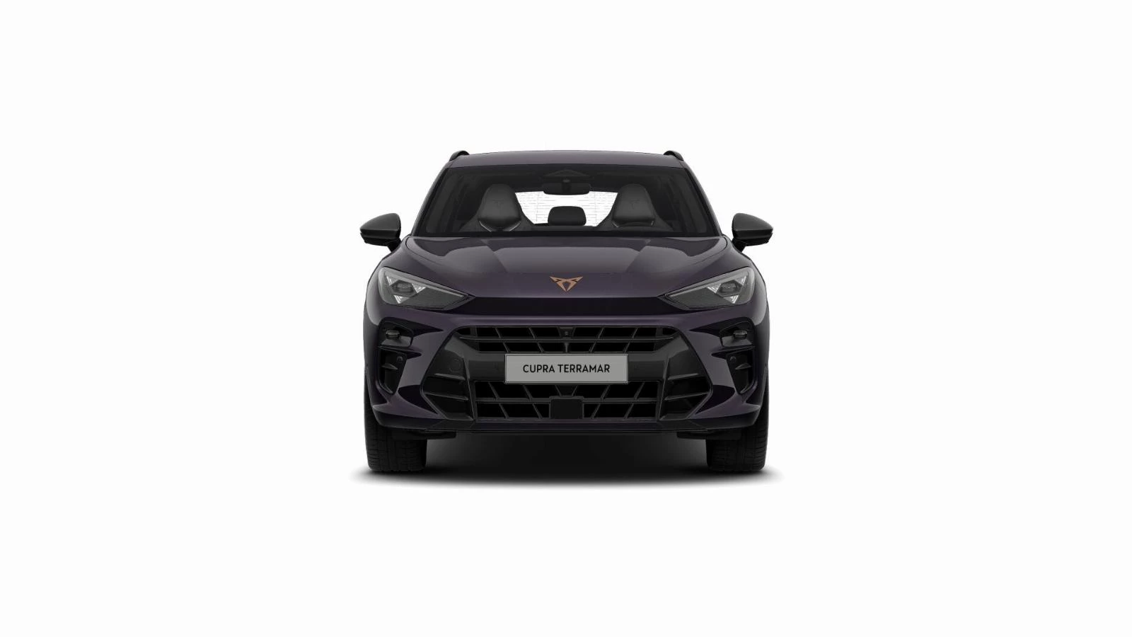 Hoofdafbeelding CUPRA Terramar