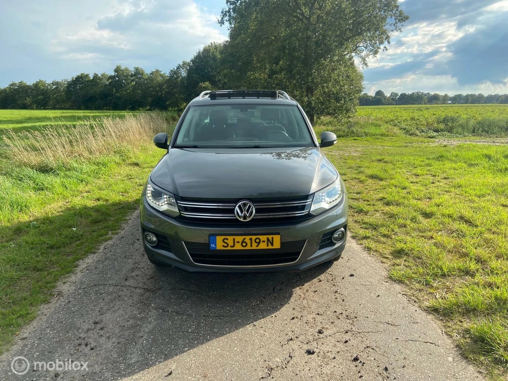 Hoofdafbeelding Volkswagen Tiguan