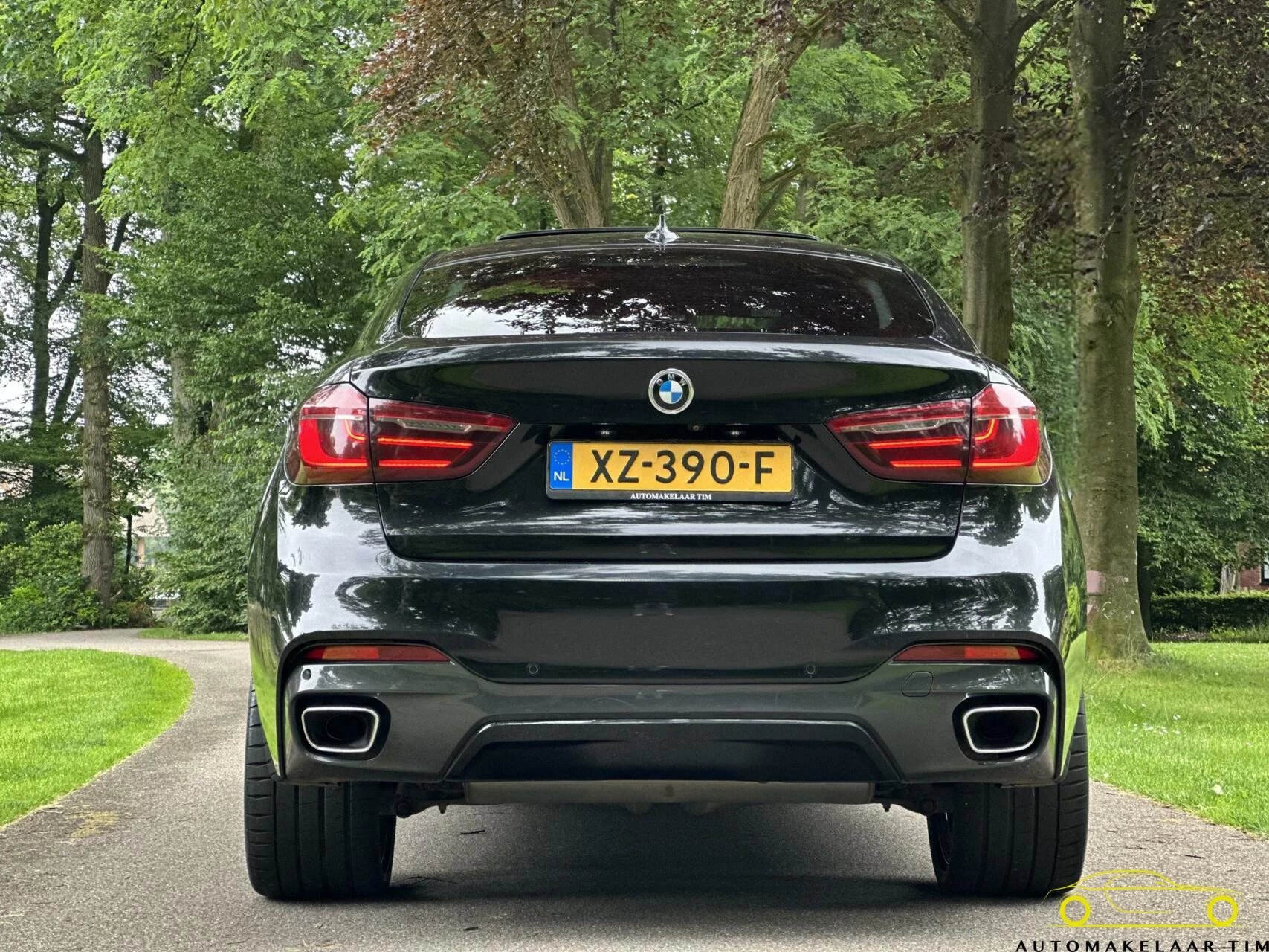 Hoofdafbeelding BMW X6