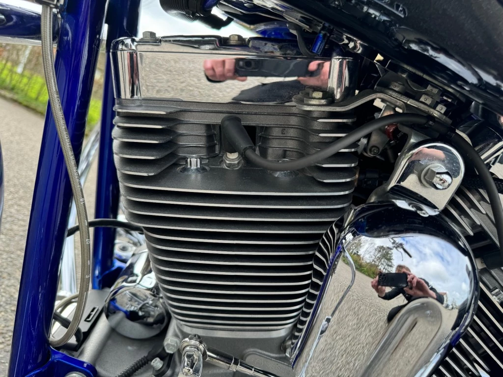 Hoofdafbeelding Harley-Davidson Softail