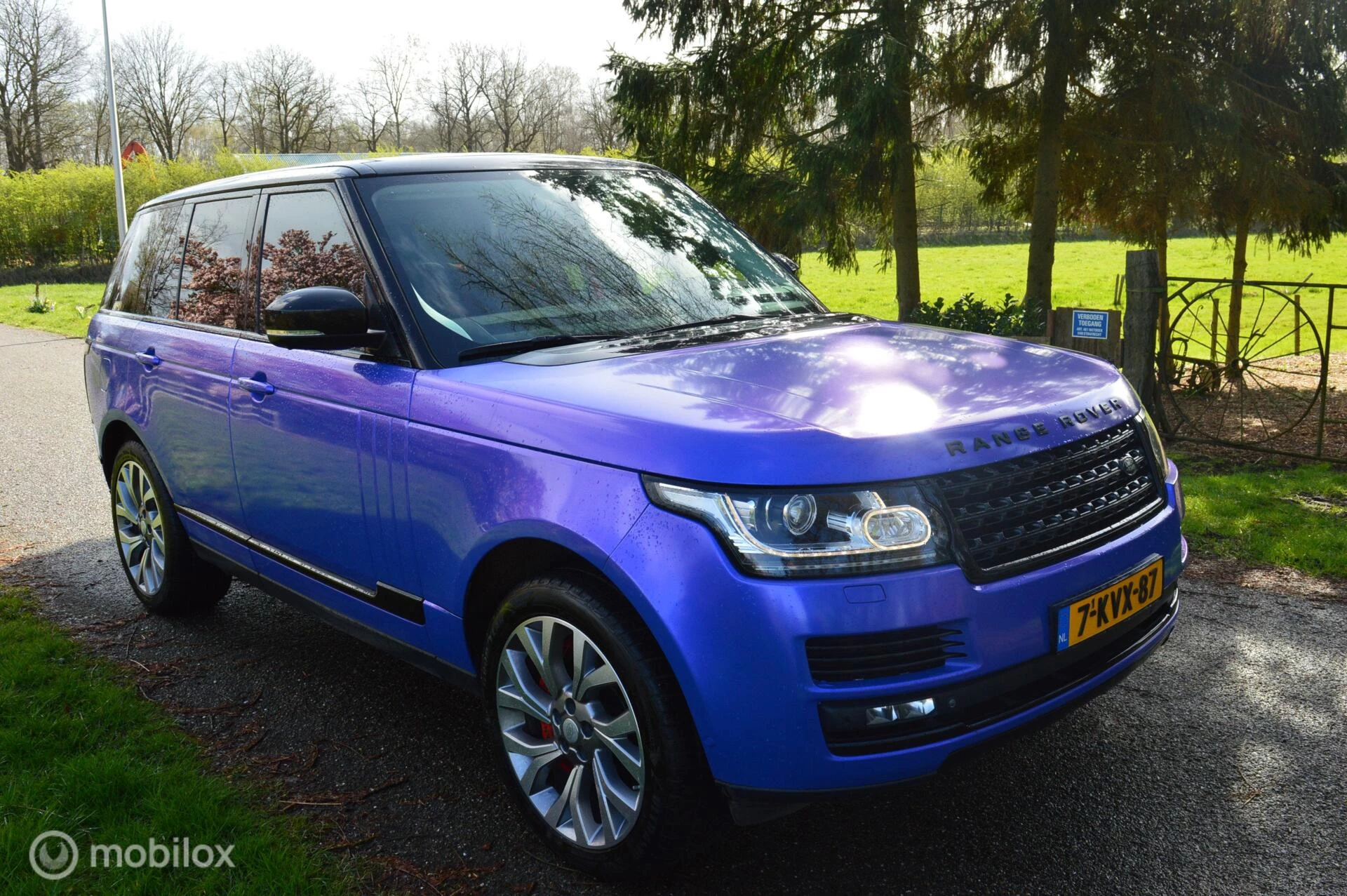 Hoofdafbeelding Land Rover Range Rover