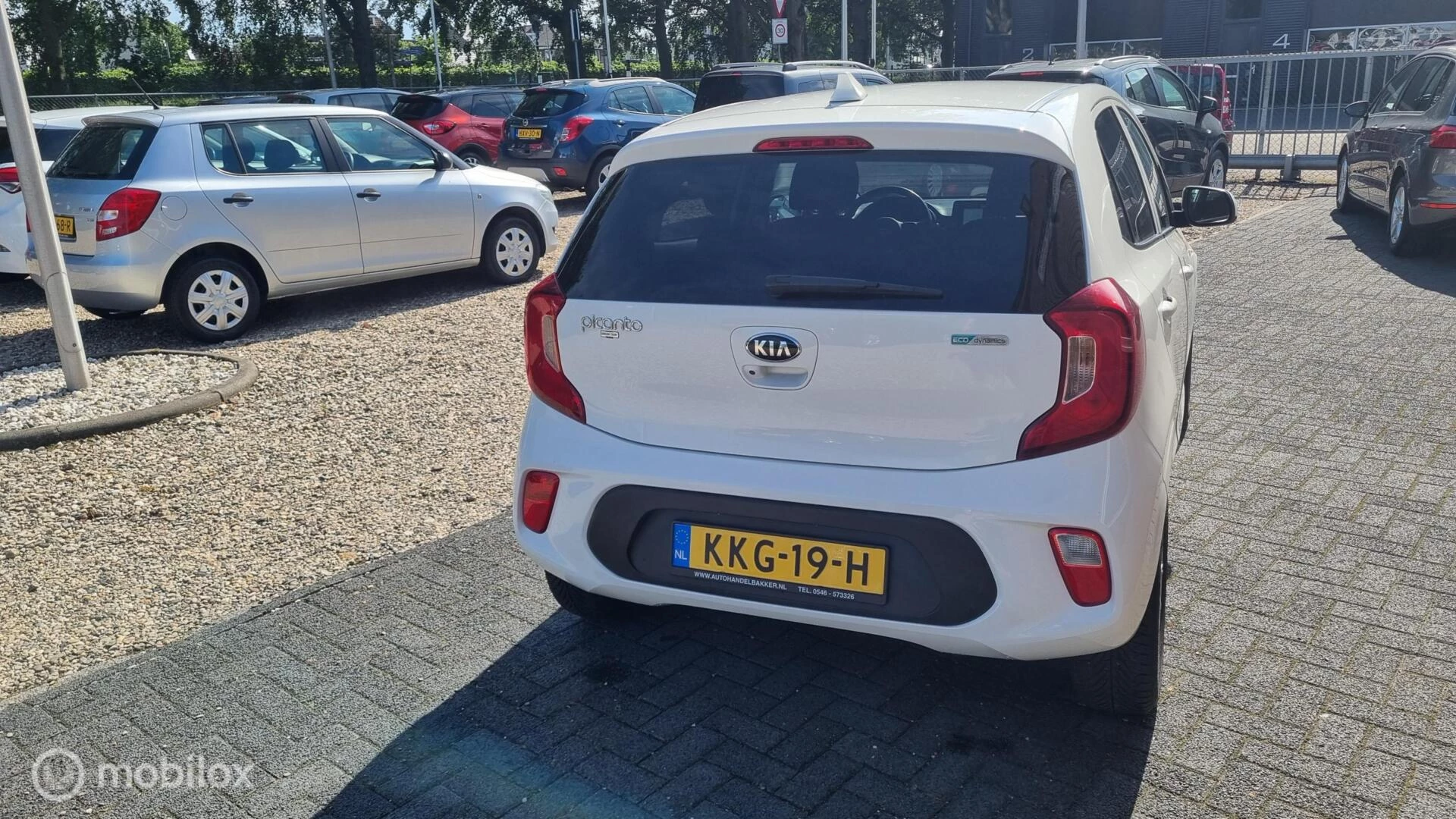Hoofdafbeelding Kia Picanto