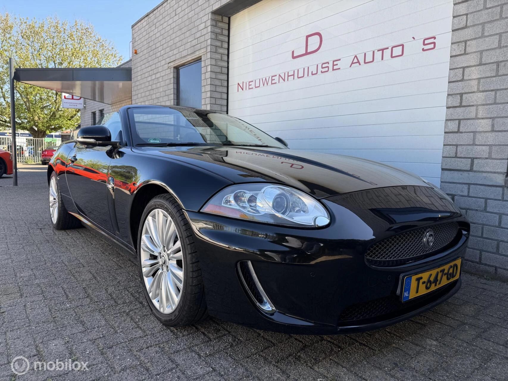 Hoofdafbeelding Jaguar XK