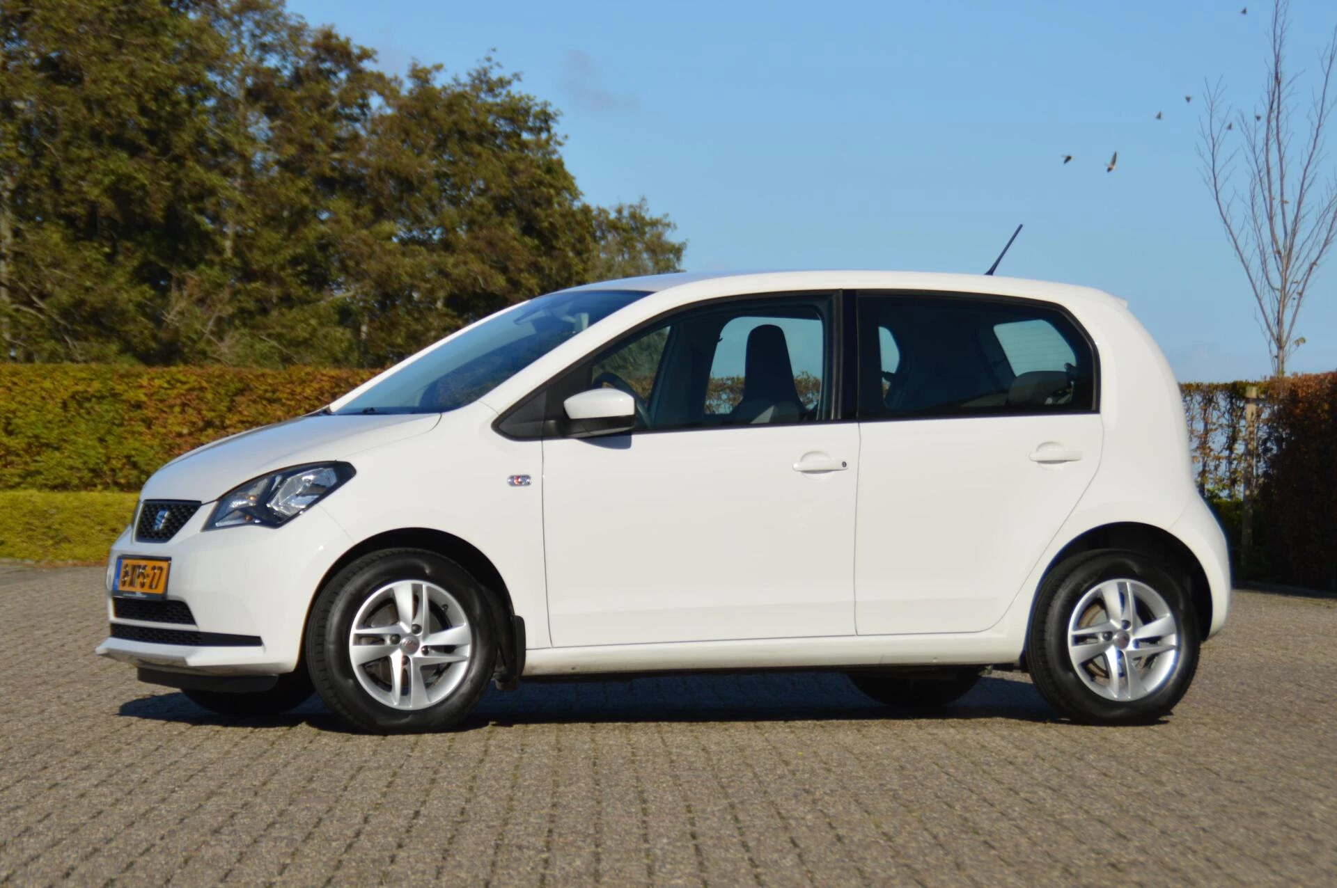 Hoofdafbeelding SEAT Mii