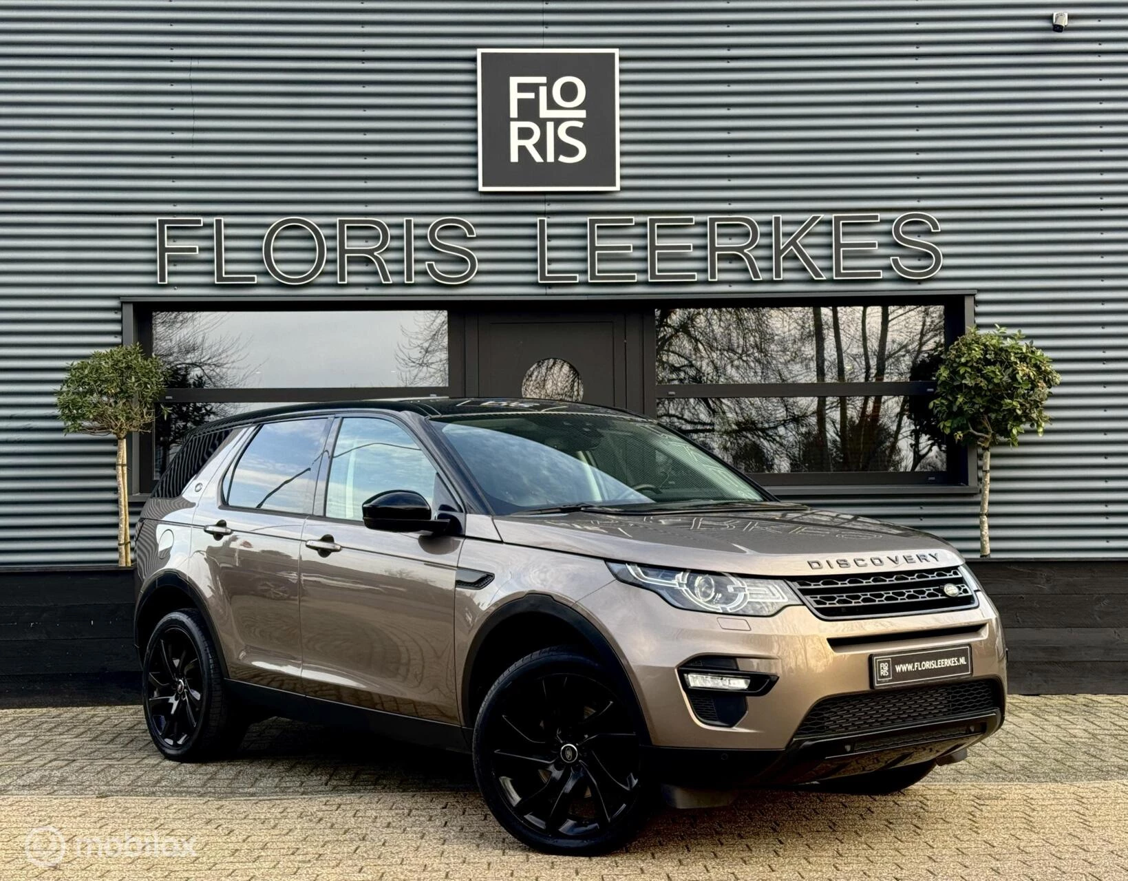 Hoofdafbeelding Land Rover Discovery Sport