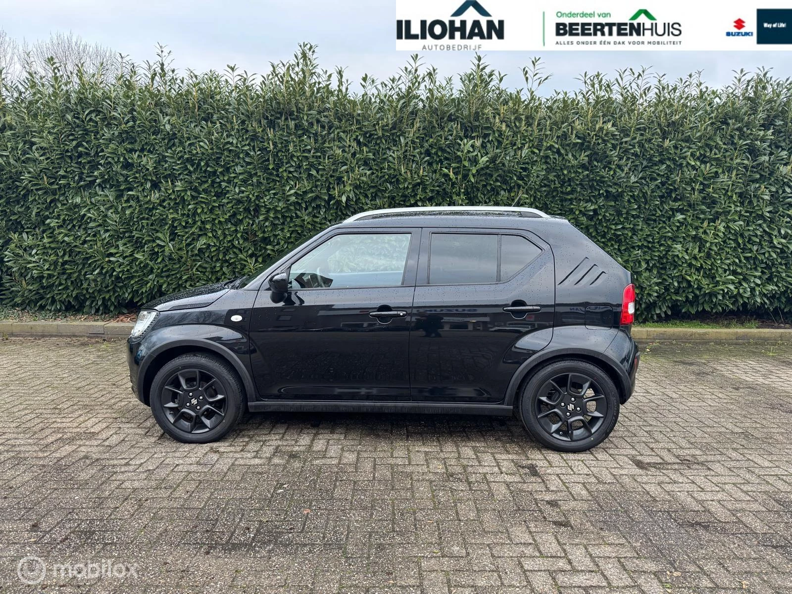 Hoofdafbeelding Suzuki Ignis