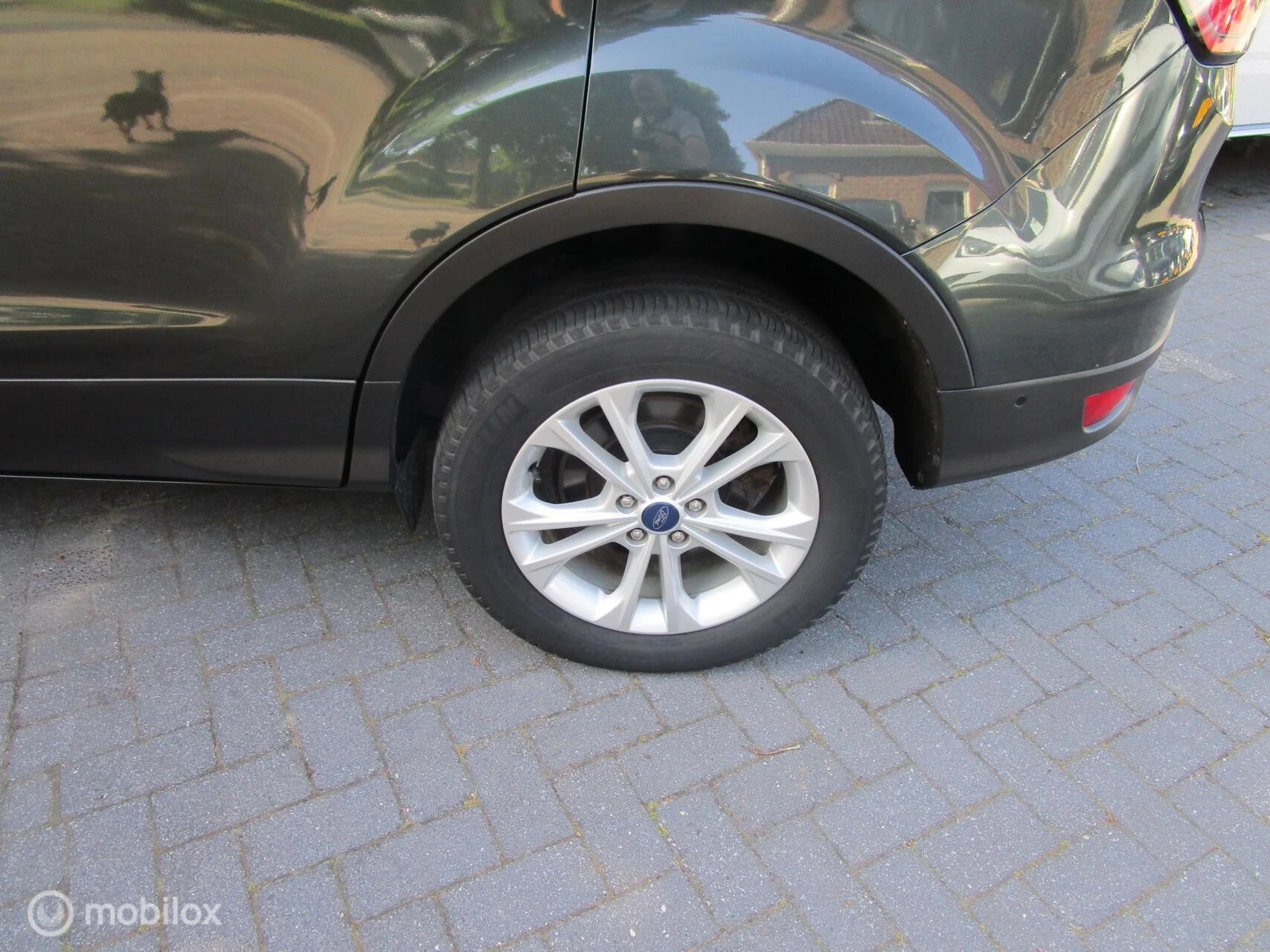 Hoofdafbeelding Ford Kuga