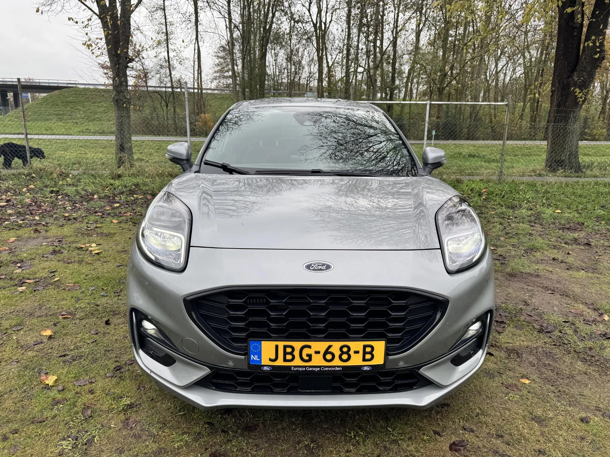 Hoofdafbeelding Ford Puma