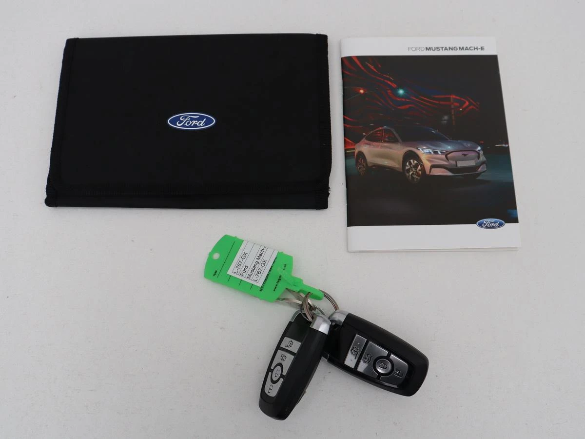 Hoofdafbeelding Ford Mustang Mach-E