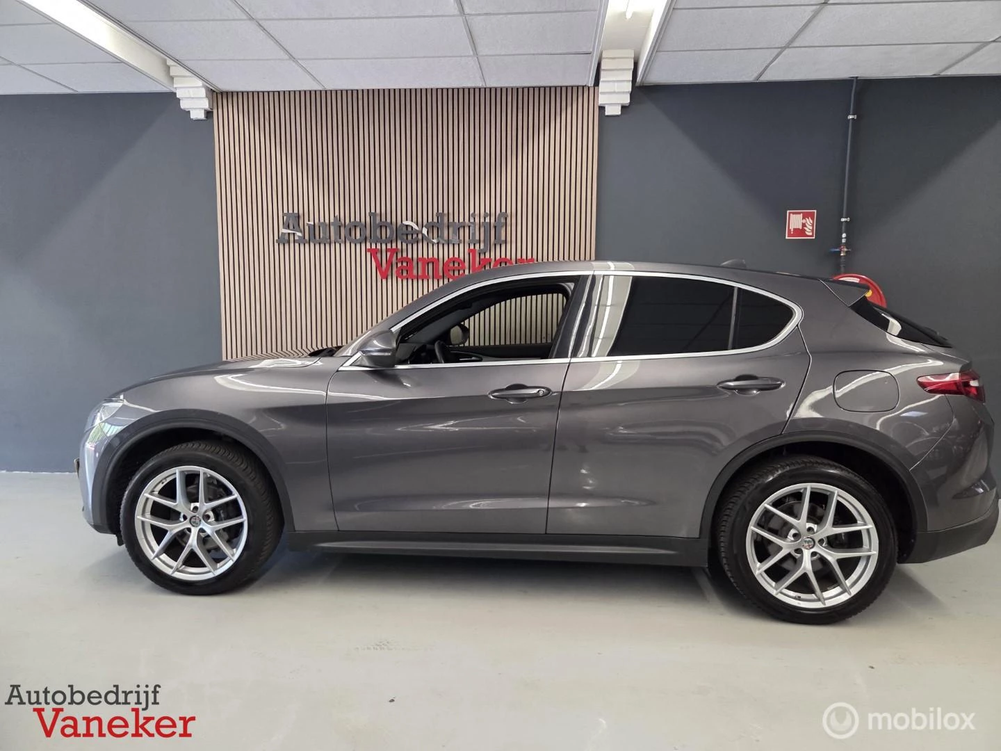 Hoofdafbeelding Alfa Romeo Stelvio