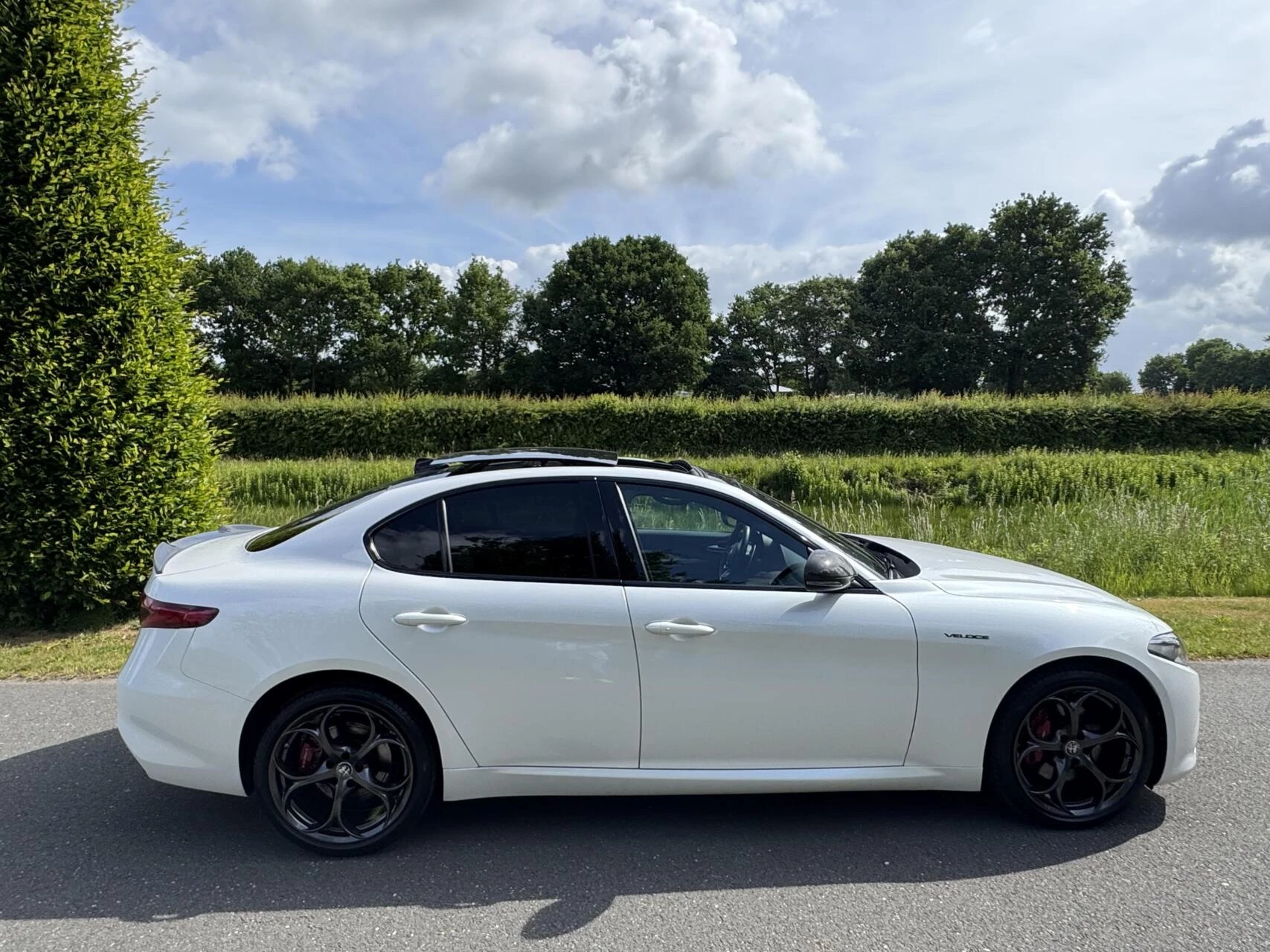 Hoofdafbeelding Alfa Romeo Giulia