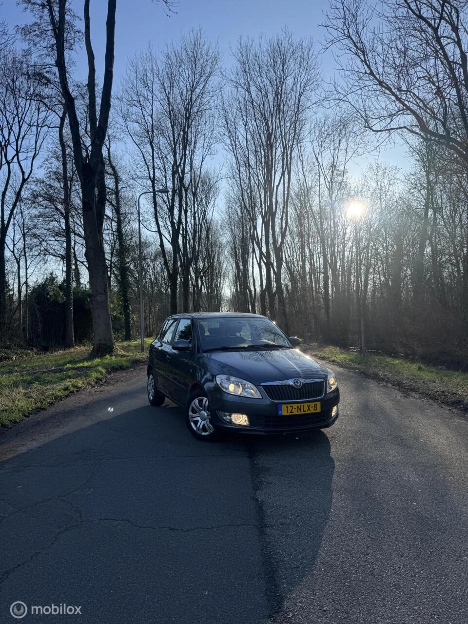 Hoofdafbeelding Škoda Fabia