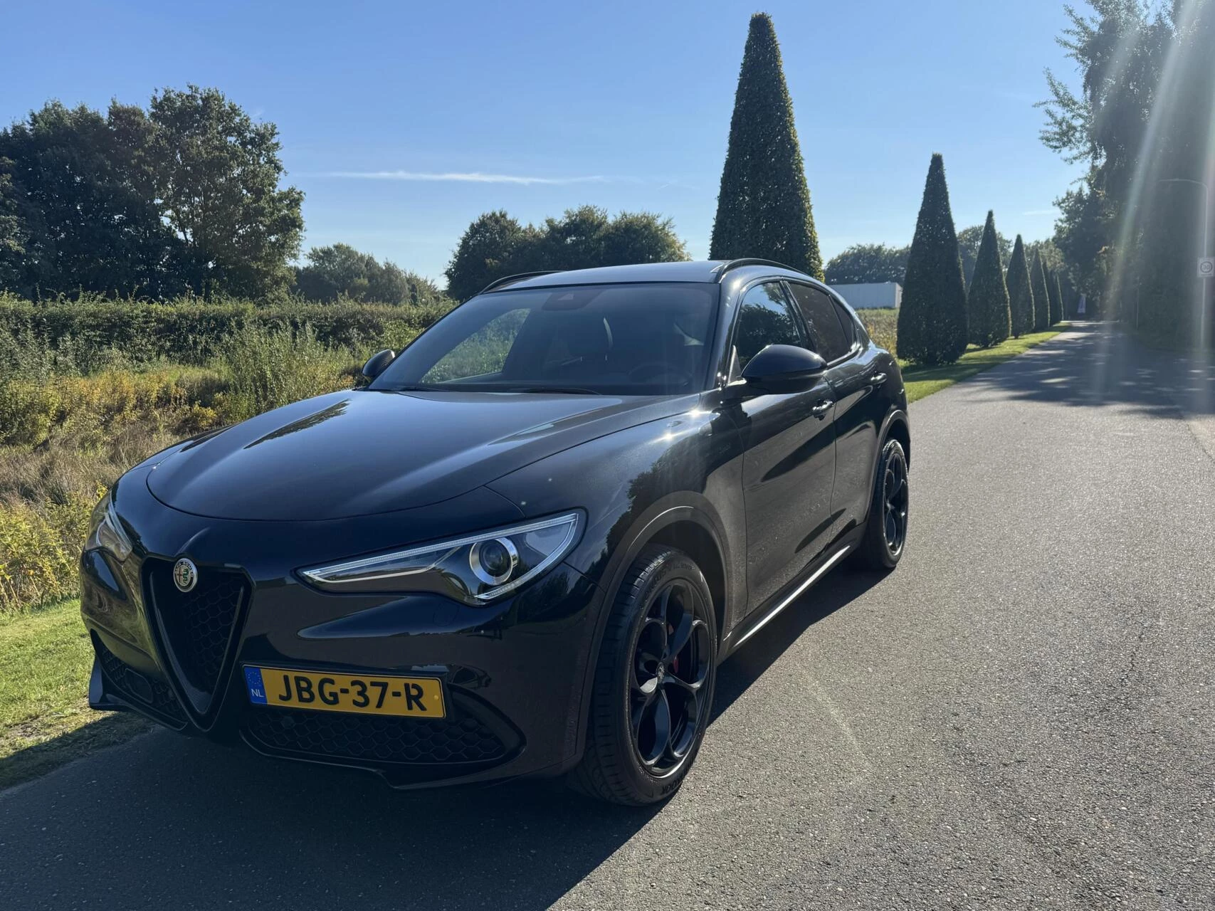 Hoofdafbeelding Alfa Romeo Stelvio
