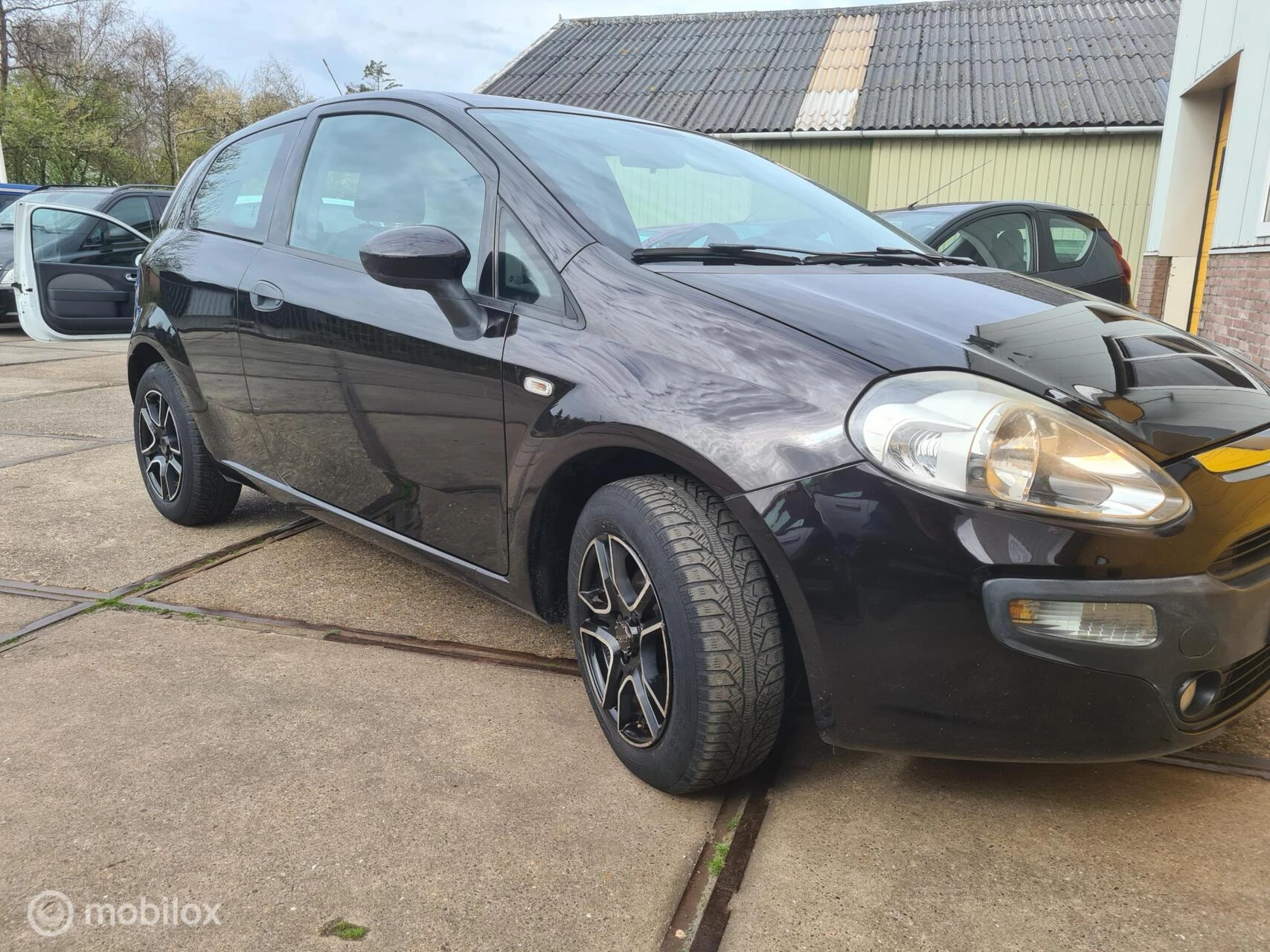 Hoofdafbeelding Fiat Punto