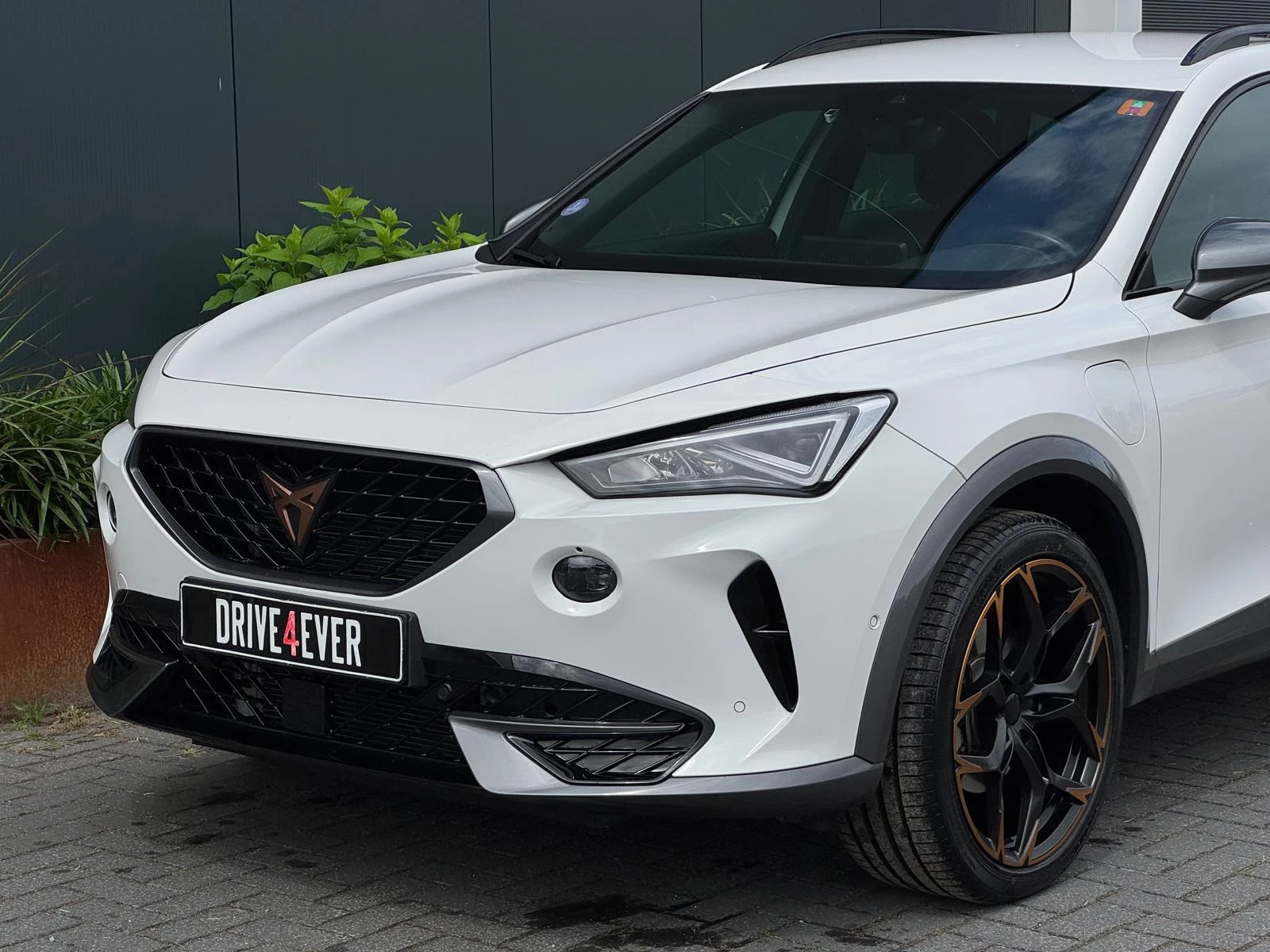 Hoofdafbeelding CUPRA Formentor