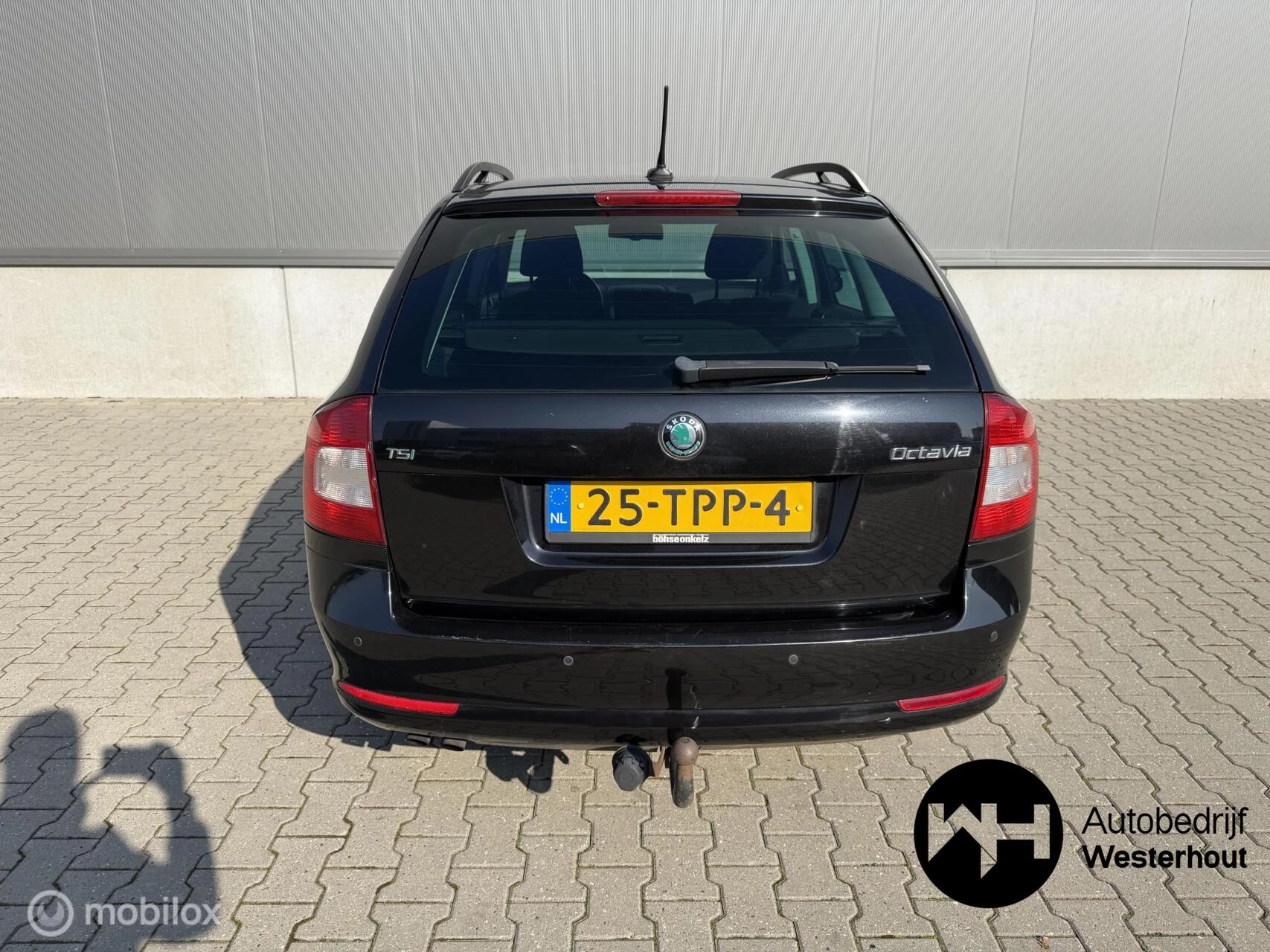 Hoofdafbeelding Škoda Octavia