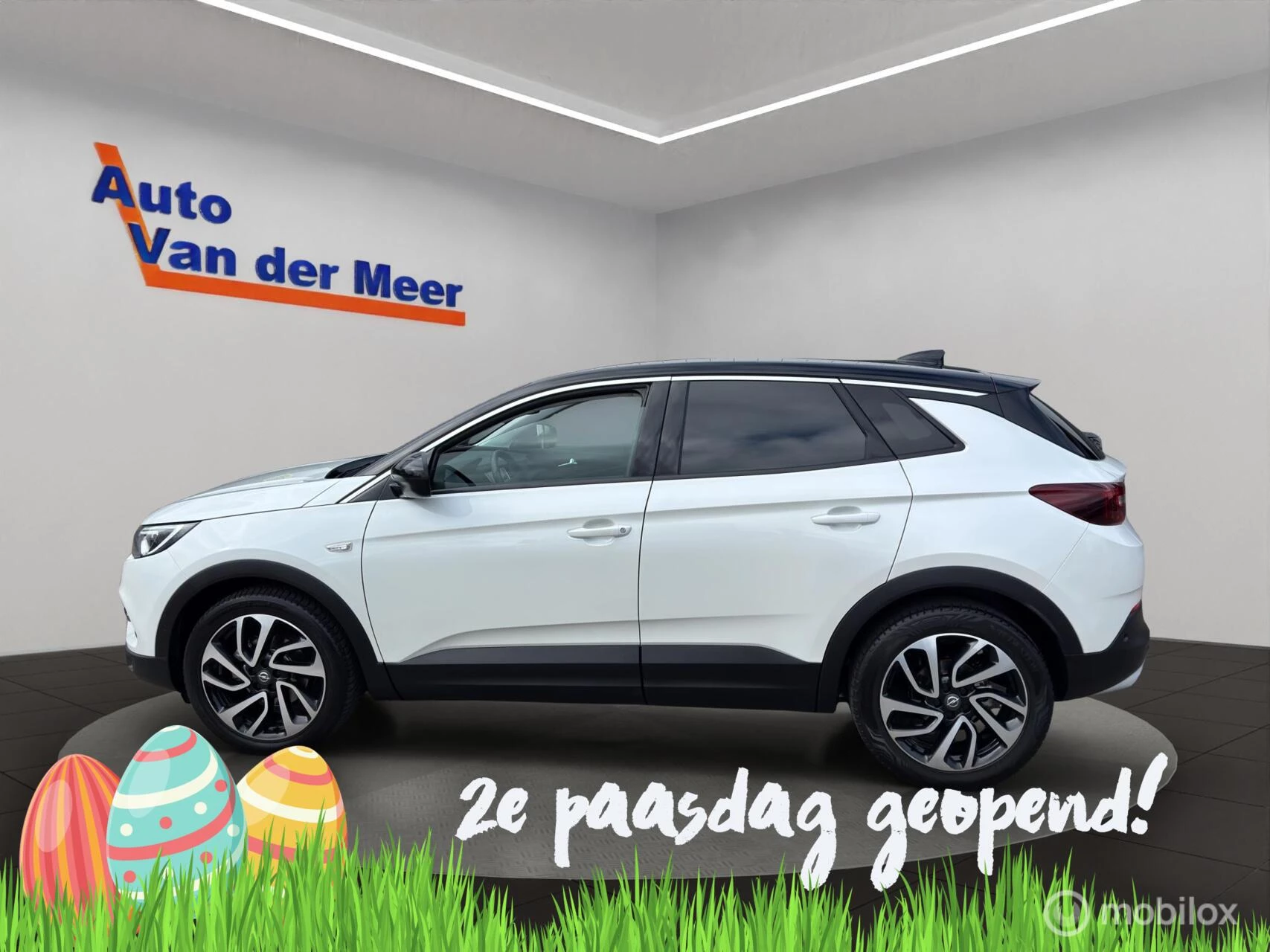 Hoofdafbeelding Opel Grandland X