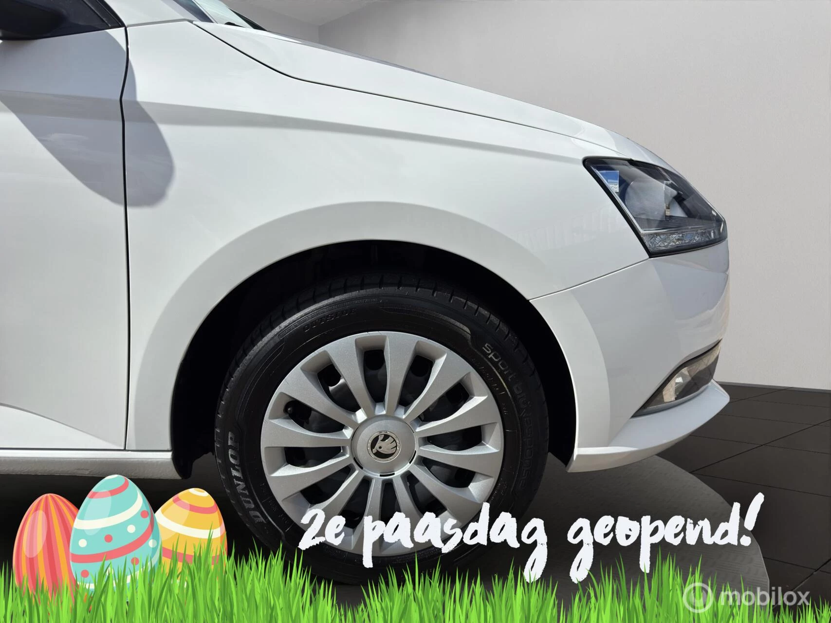 Hoofdafbeelding Škoda Fabia