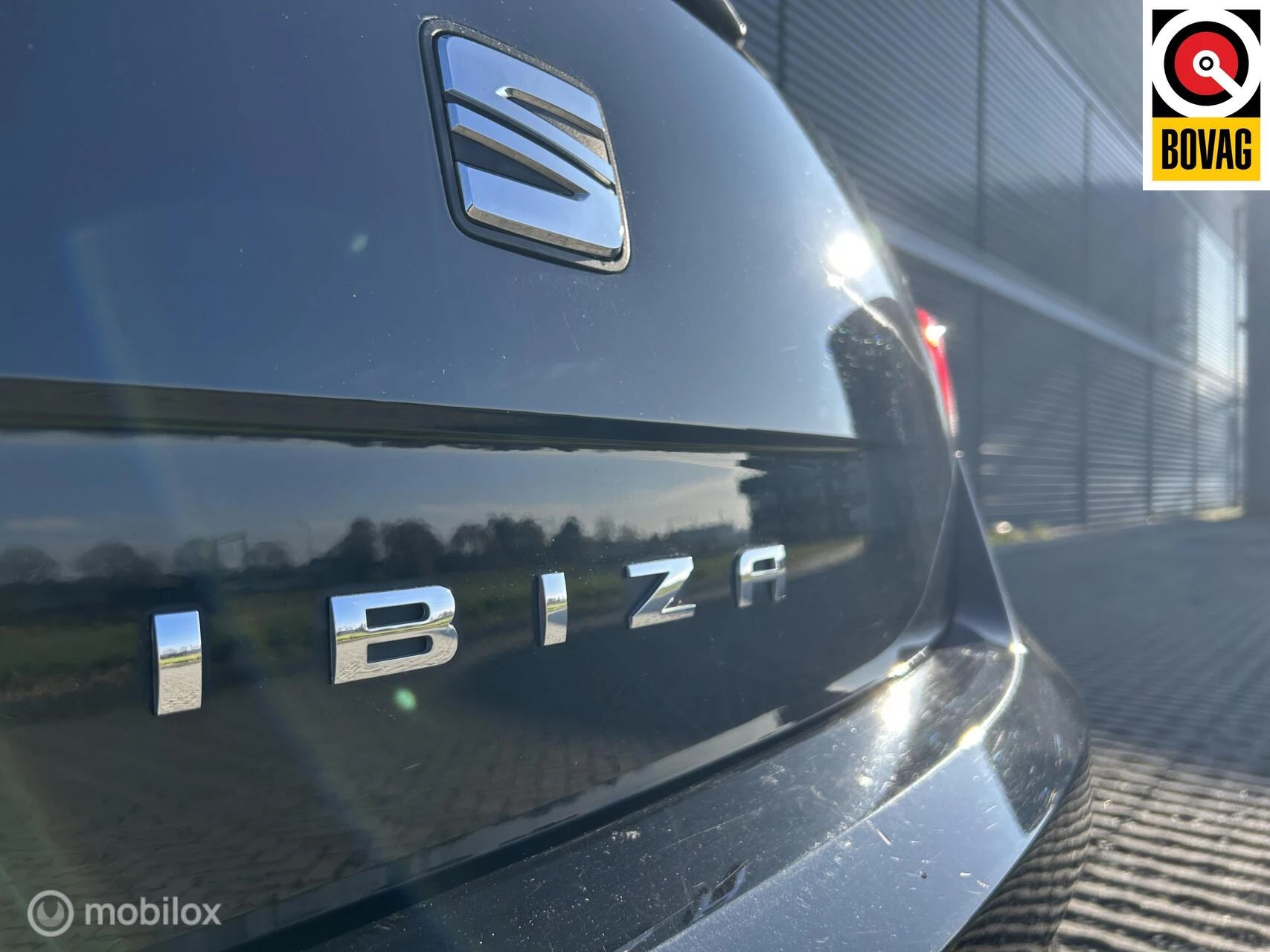 Hoofdafbeelding SEAT Ibiza