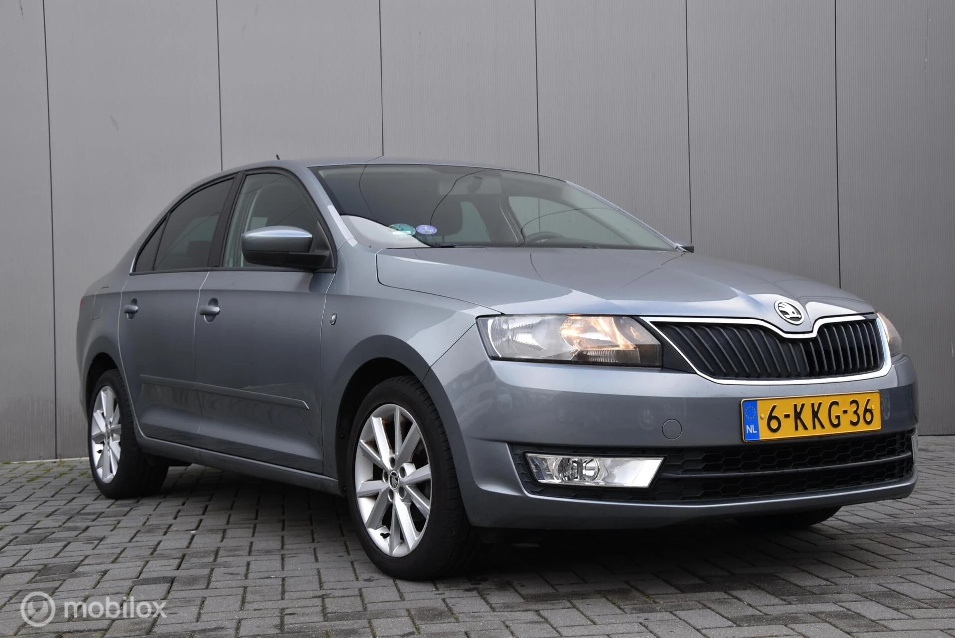 Hoofdafbeelding Škoda Rapid