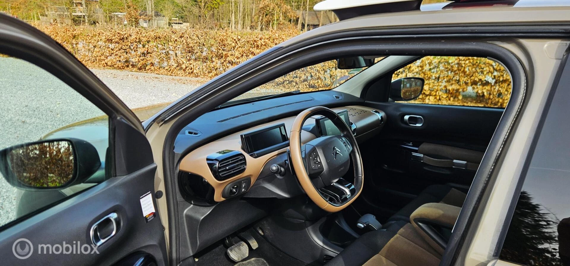 Hoofdafbeelding Citroën C4 Cactus