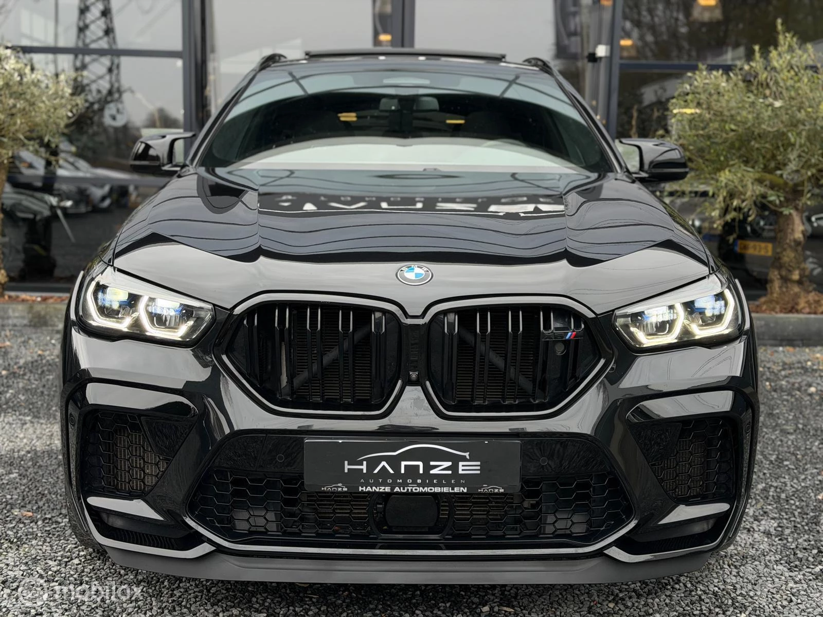 Hoofdafbeelding BMW X6