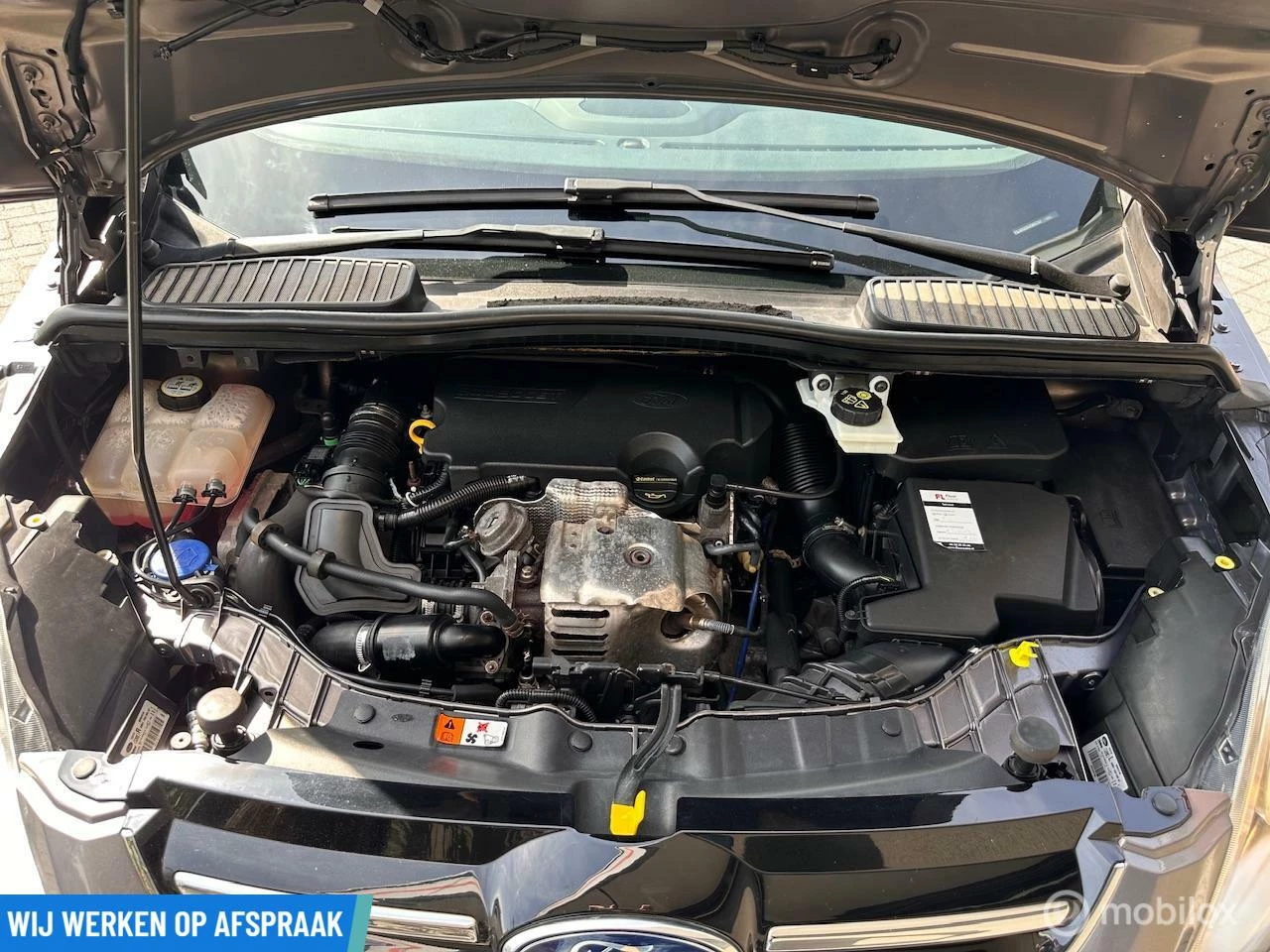 Hoofdafbeelding Ford C-MAX