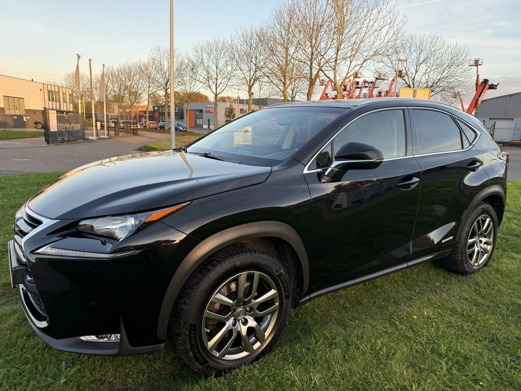 Hoofdafbeelding Lexus NX