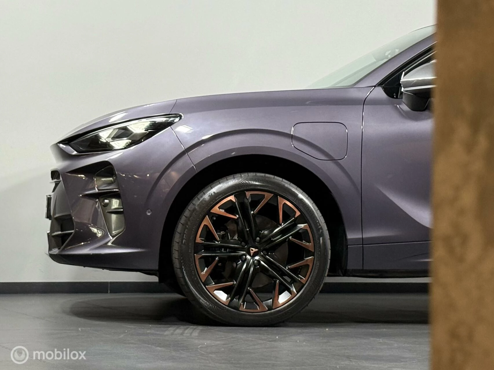 Hoofdafbeelding CUPRA Terramar