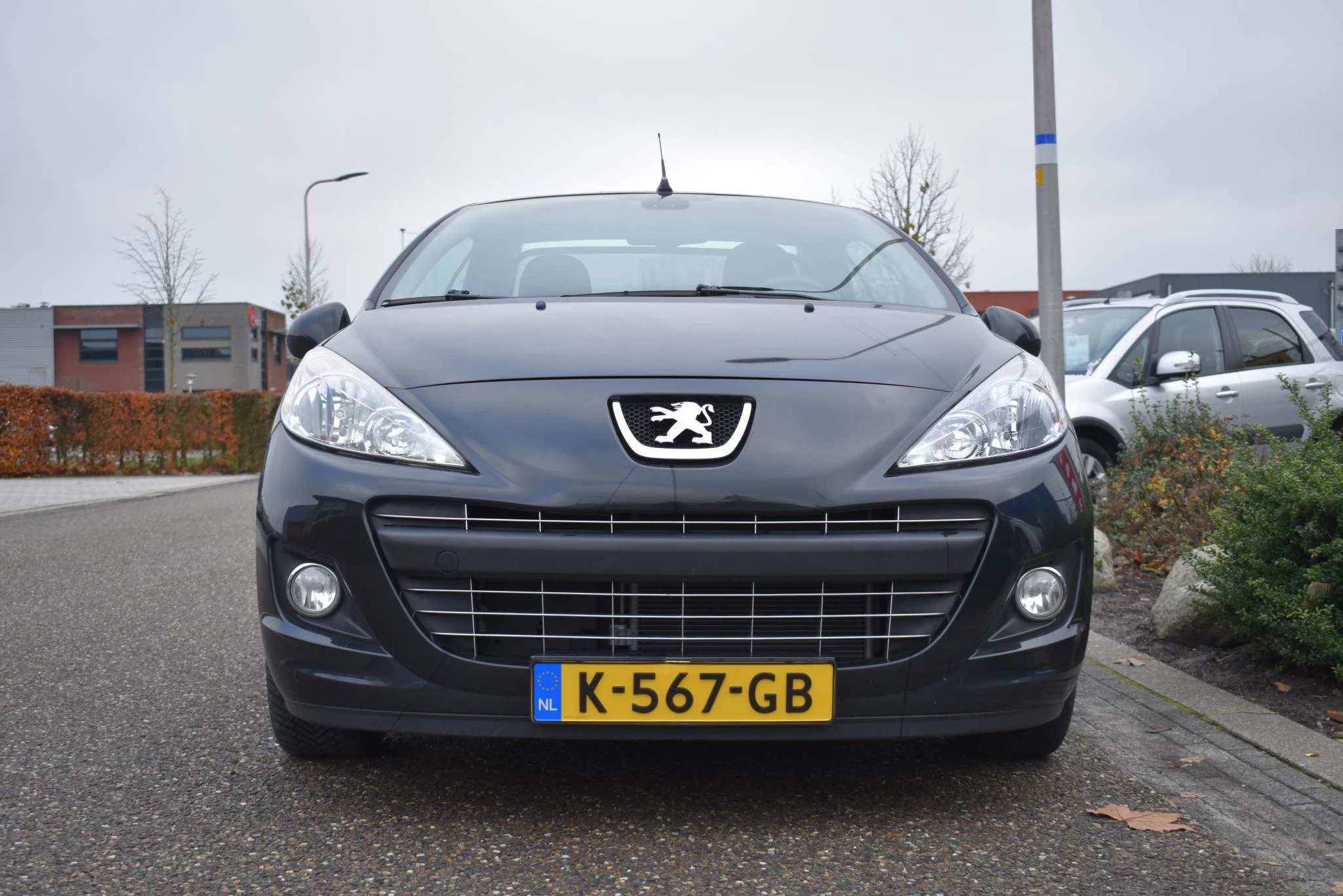 Hoofdafbeelding Peugeot 207