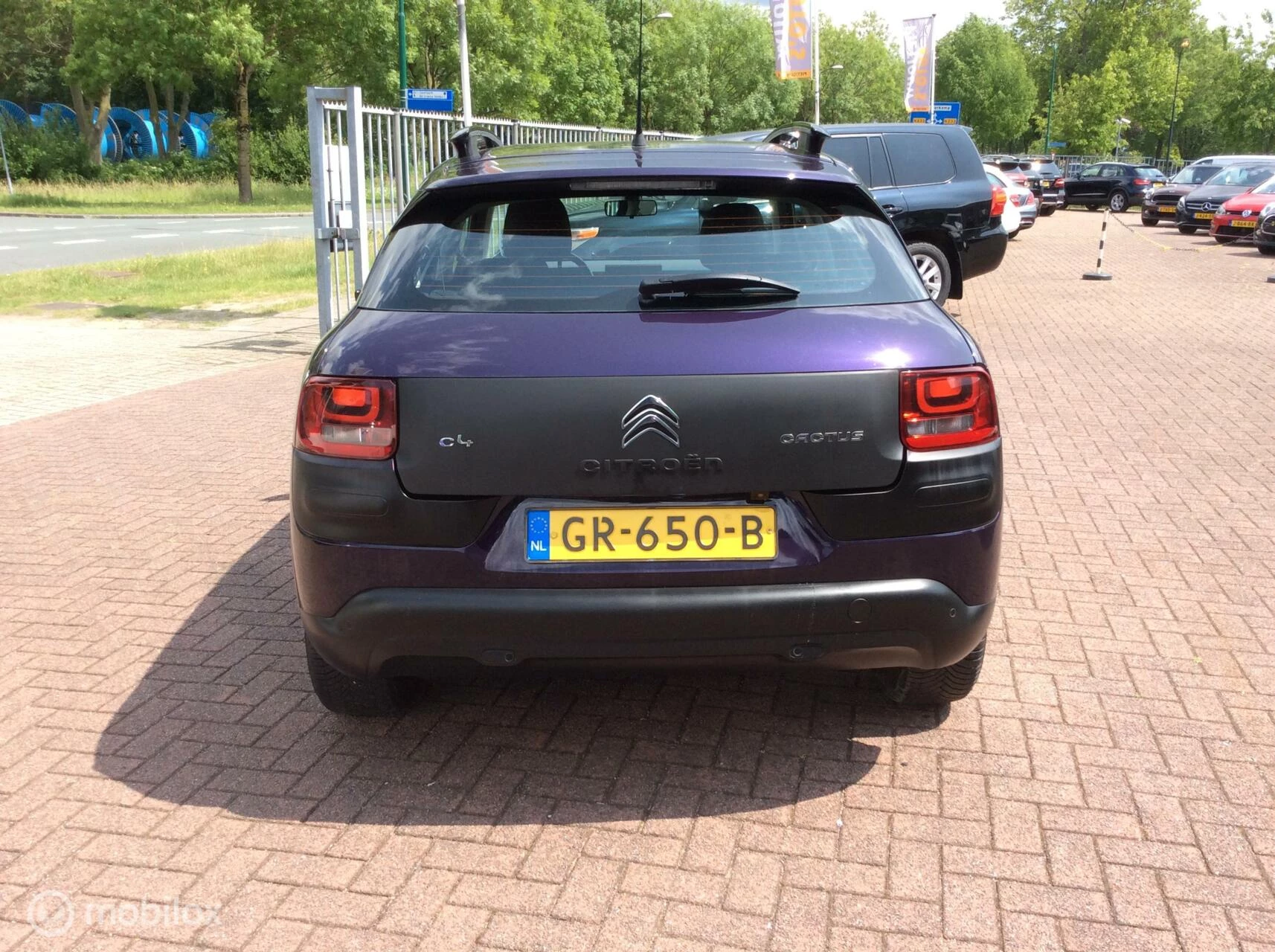 Hoofdafbeelding Citroën C4 Cactus