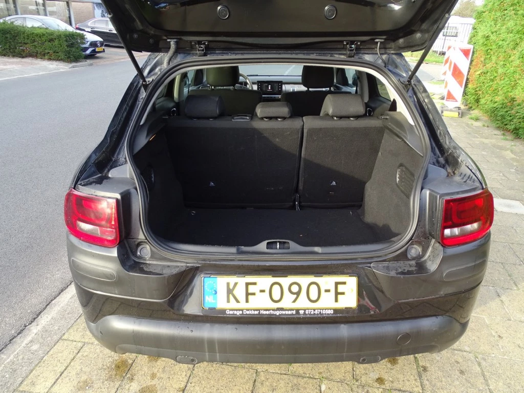 Hoofdafbeelding Citroën C4 Cactus