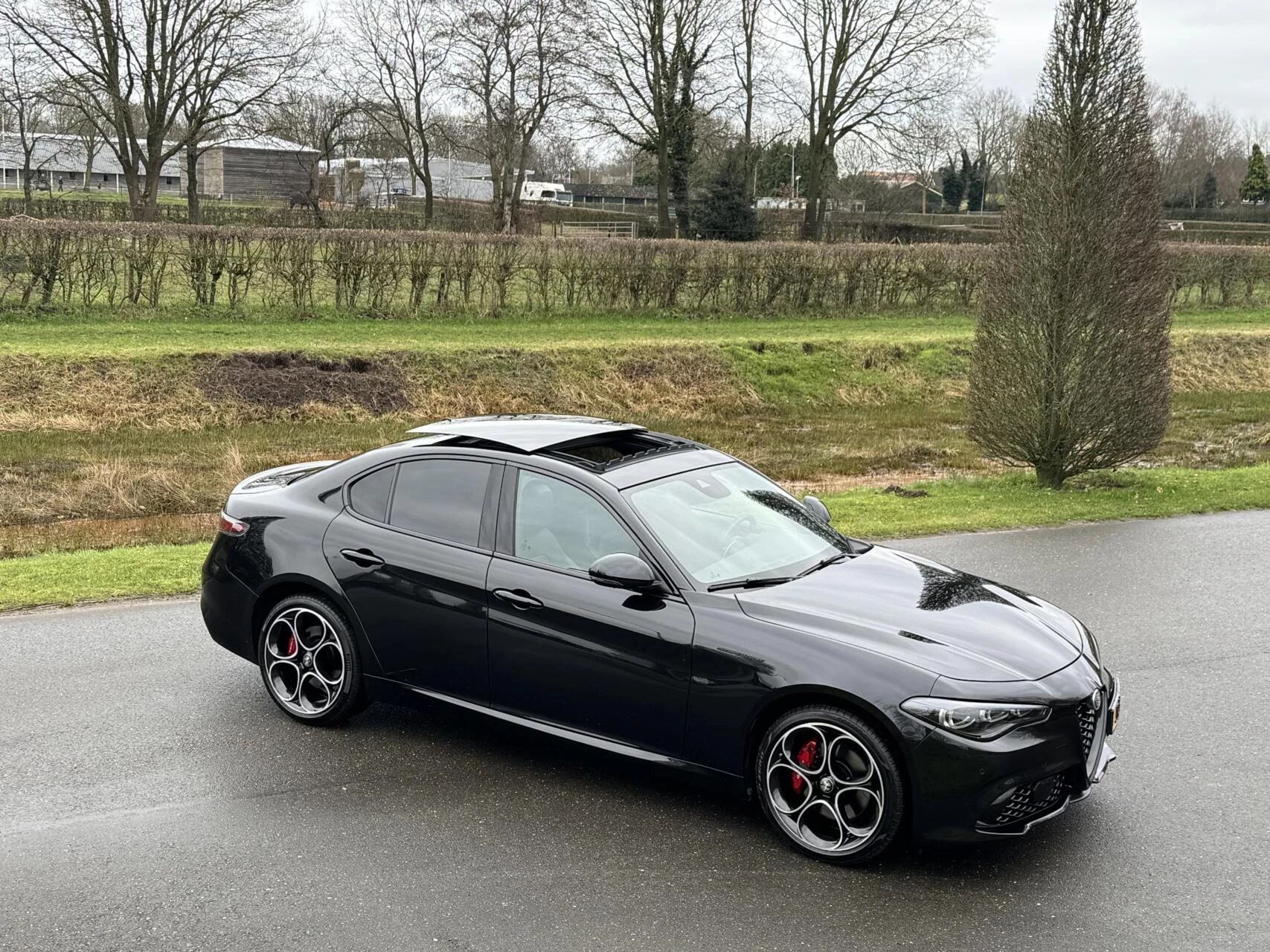 Hoofdafbeelding Alfa Romeo Giulia