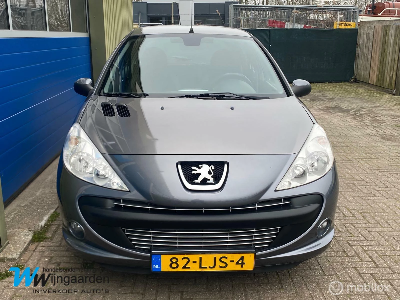 Hoofdafbeelding Peugeot 206