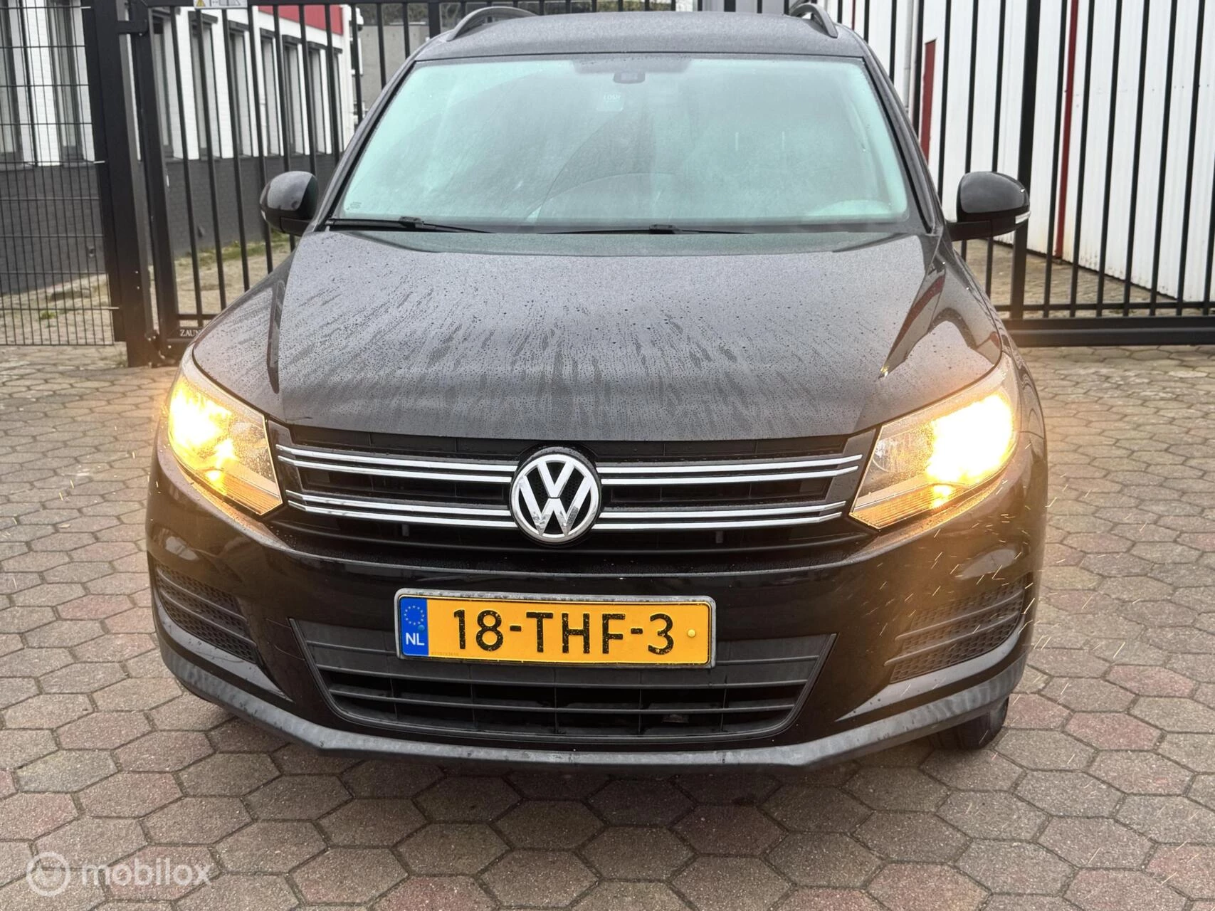 Hoofdafbeelding Volkswagen Tiguan