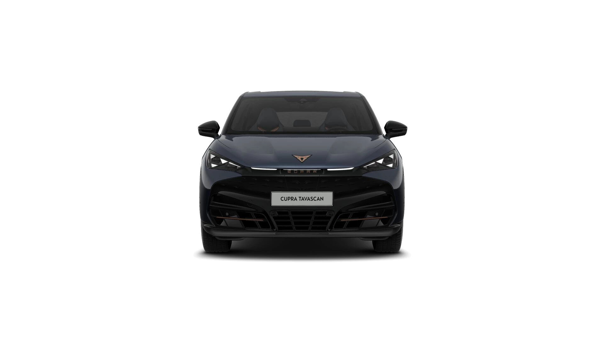 Hoofdafbeelding CUPRA Tavascan