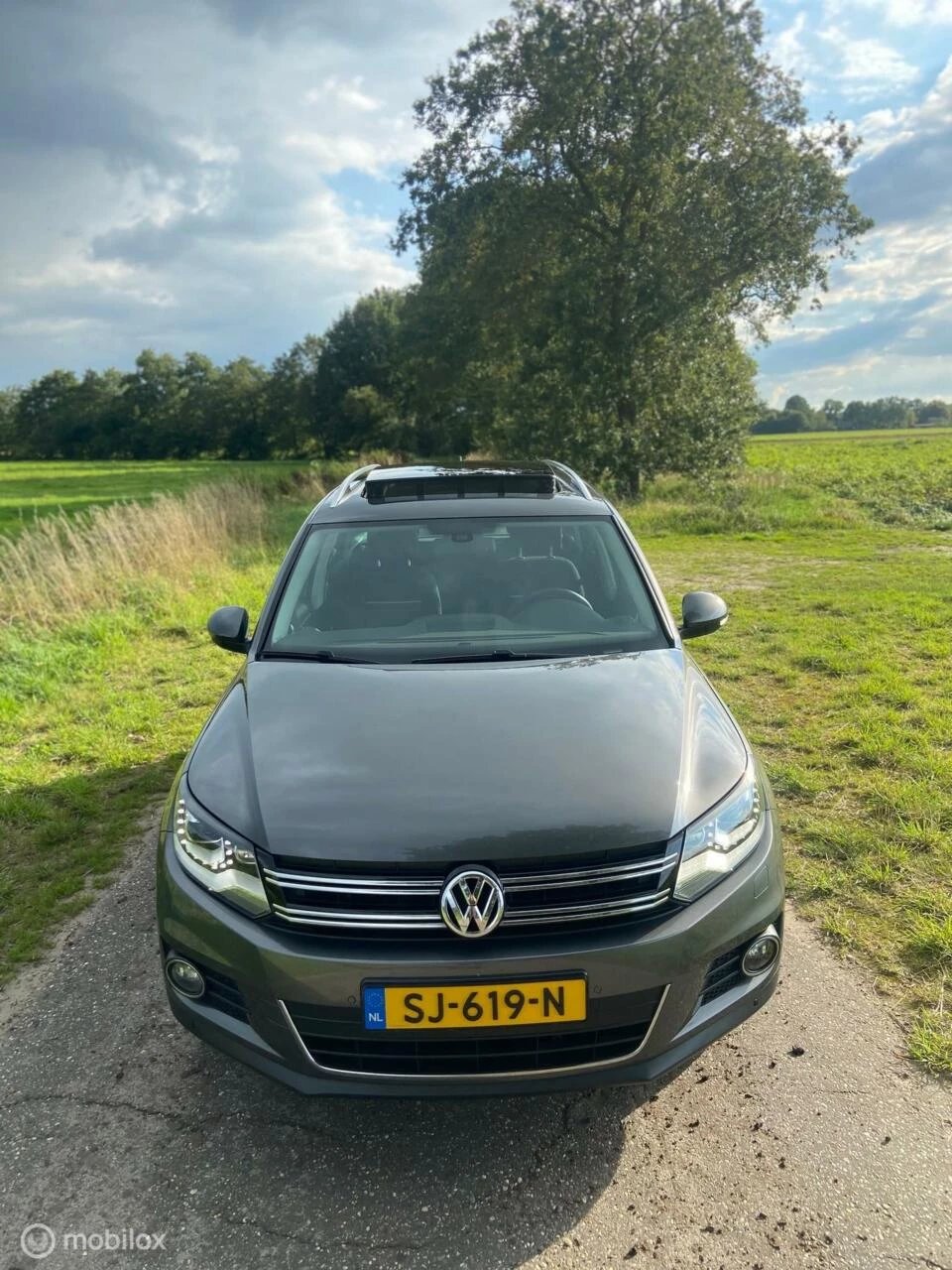 Hoofdafbeelding Volkswagen Tiguan