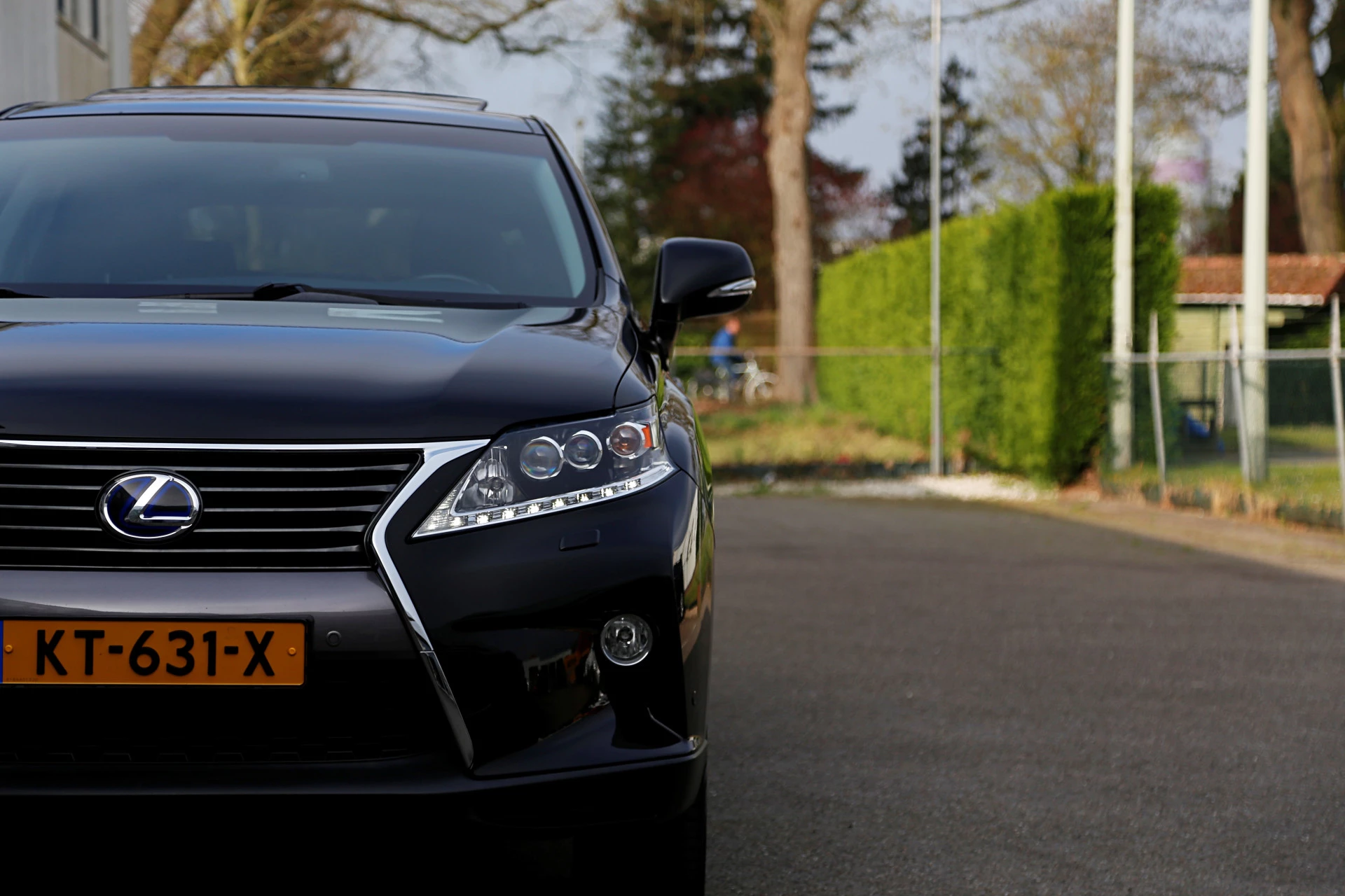 Hoofdafbeelding Lexus RX