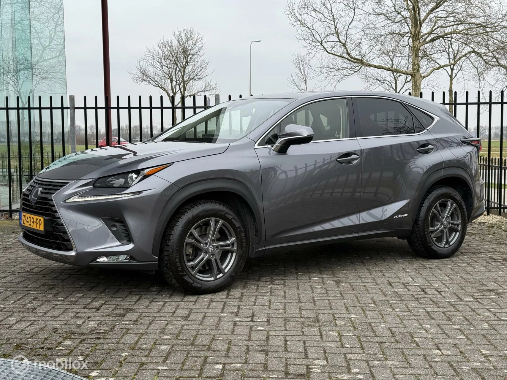 Hoofdafbeelding Lexus NX