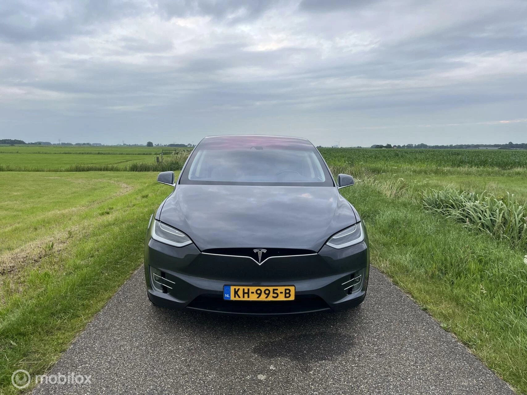 Hoofdafbeelding Tesla Model X